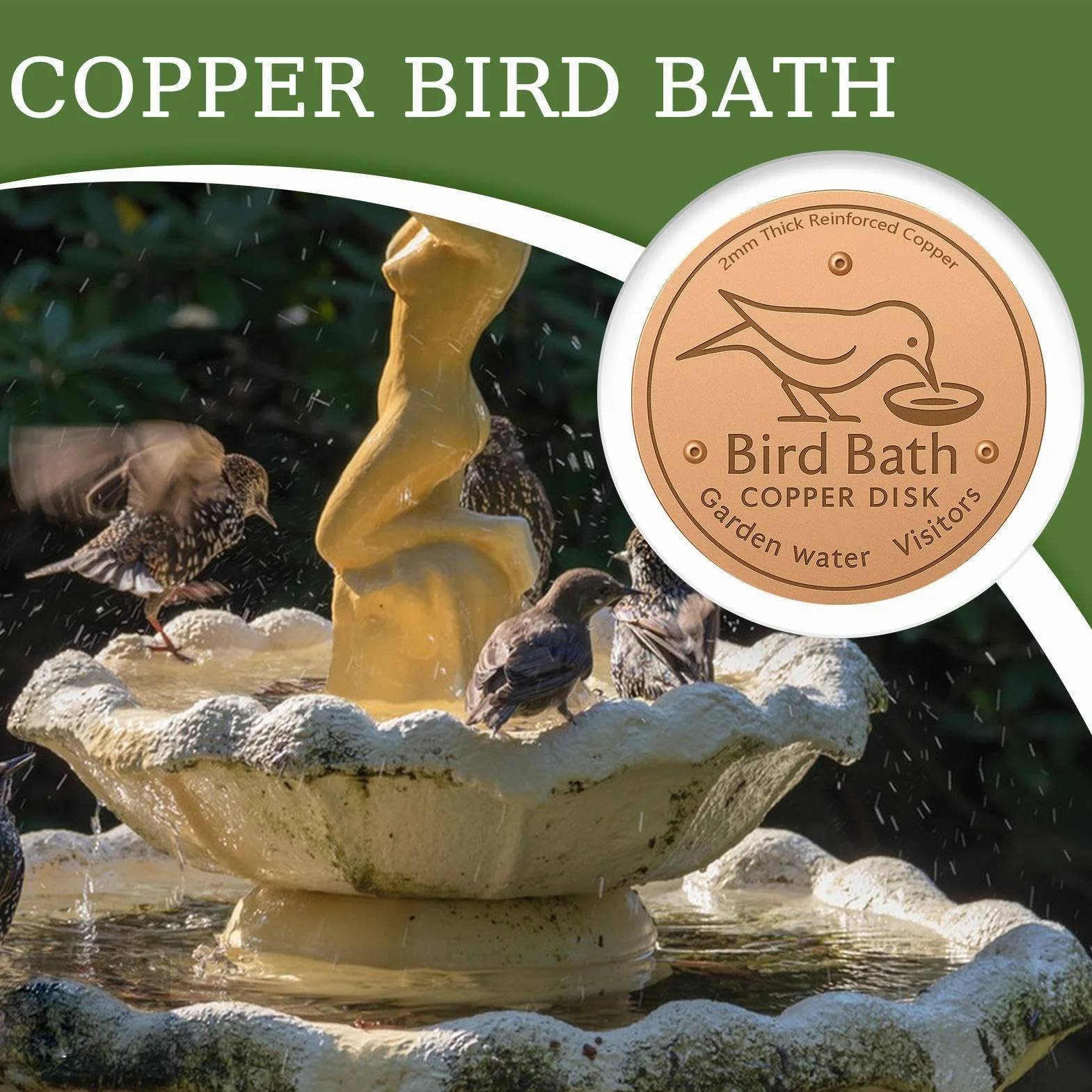 Plaques en Cuivre pour Bain d'oiseaux 10cm Disque De Nettoyage Support À Trois Points