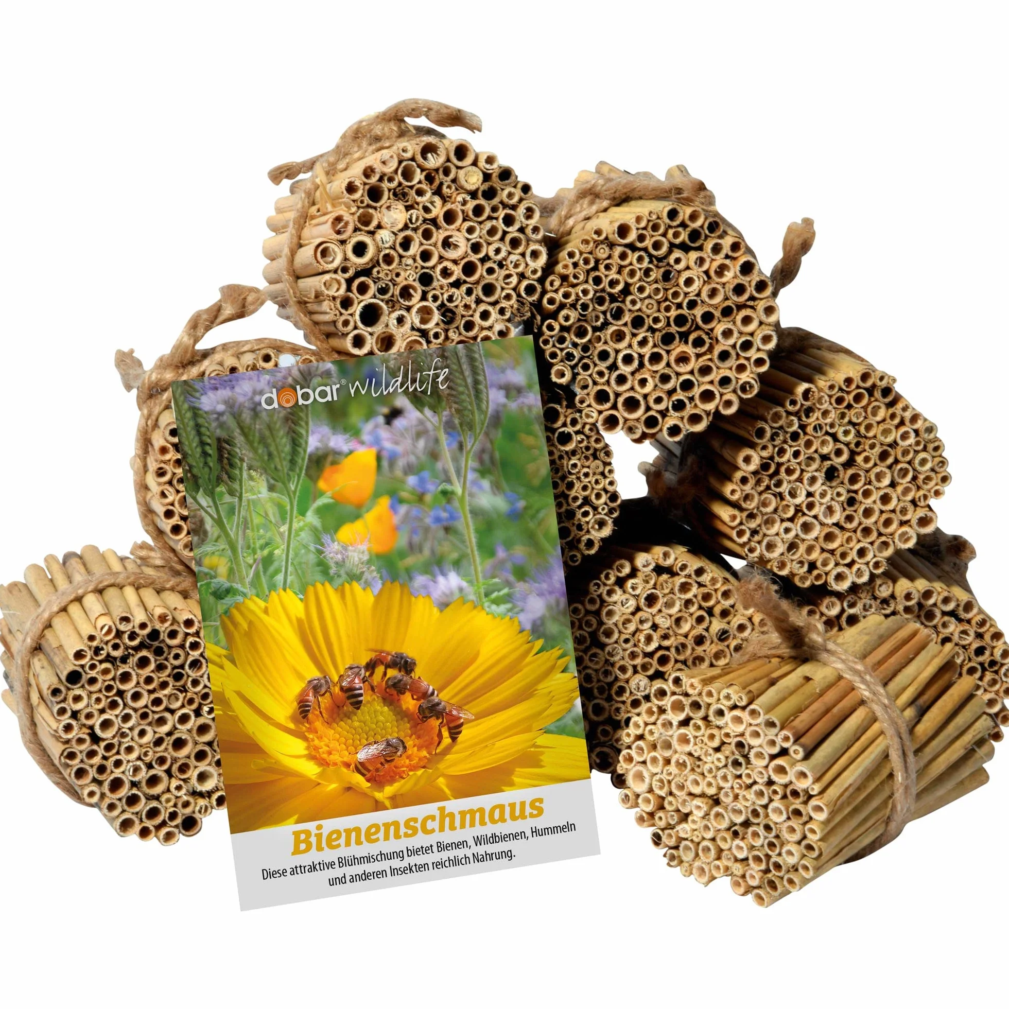Luxus-Insektenhotels 22690e Lot 10 fagots roseaux 1000 tiges Longueur 9 cm Sachet graines Paradis Abeilles 35 variétés Fleurs