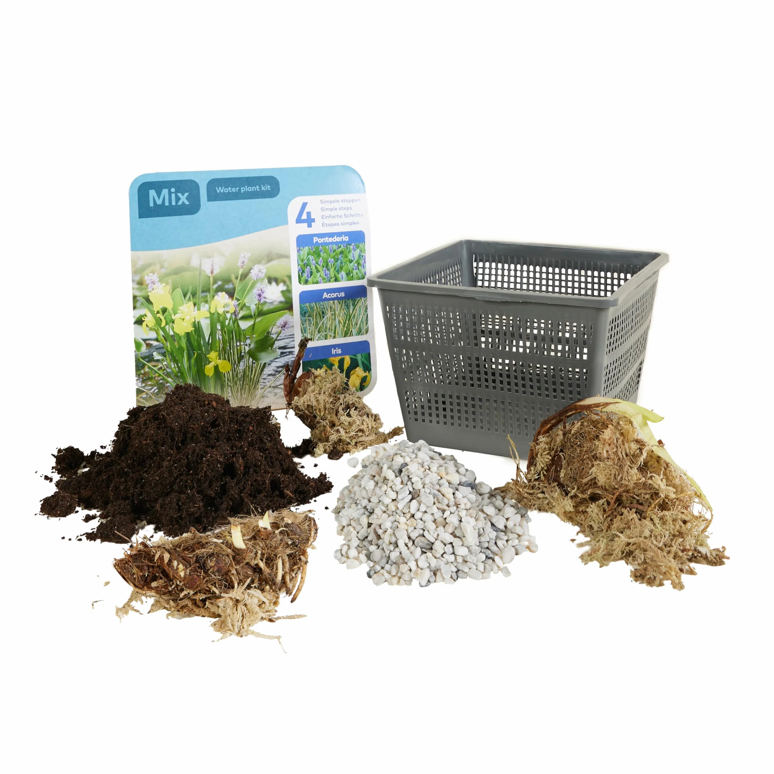 Bloomique Lot de 3 Plantes de Bassin Pontédérie Acorus Iris