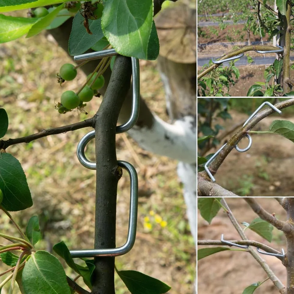 Épandeur de Branches d'Arbre en Forme de M, 25 PCS, Support Arrache-Branches pour Branches Fruitières