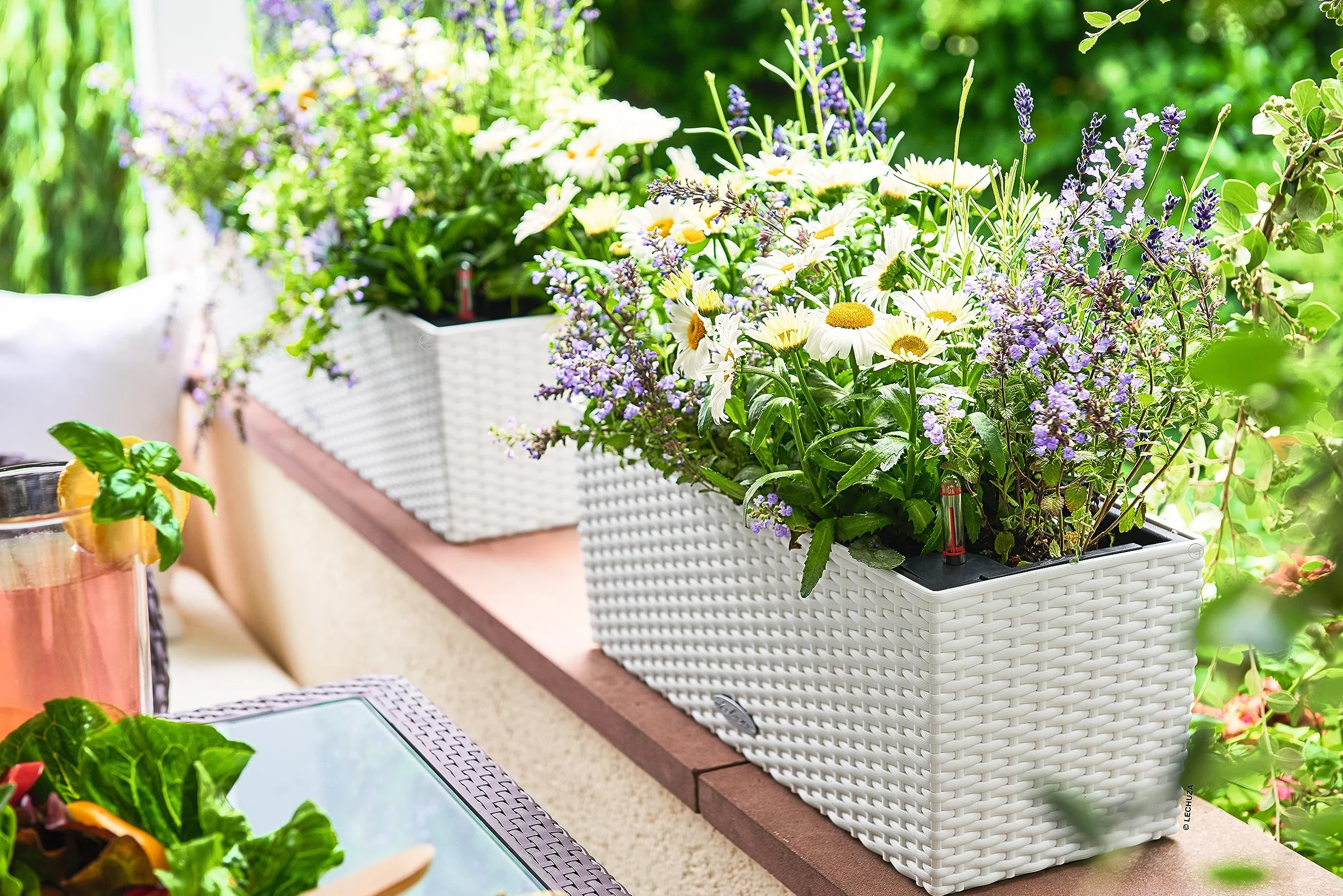 Lechuza Balconera Pot de Fleurs Extérieur Intérieur Réserve d'Eau Blanc 50 x 19 x 19 cm