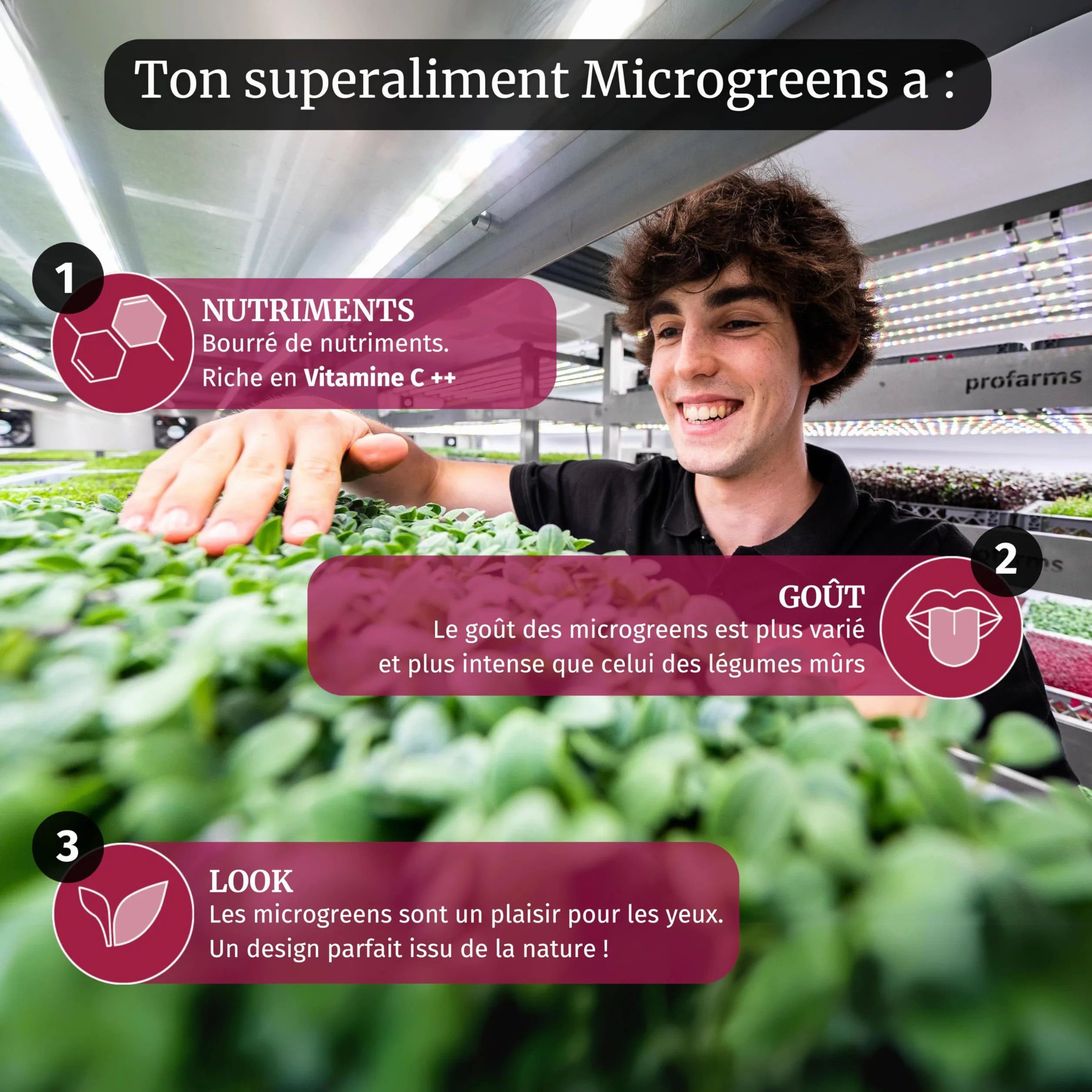 LERAVA® Kit de Microgreens BIO - Graines à Germer avec 6 Tapis de Chanvre