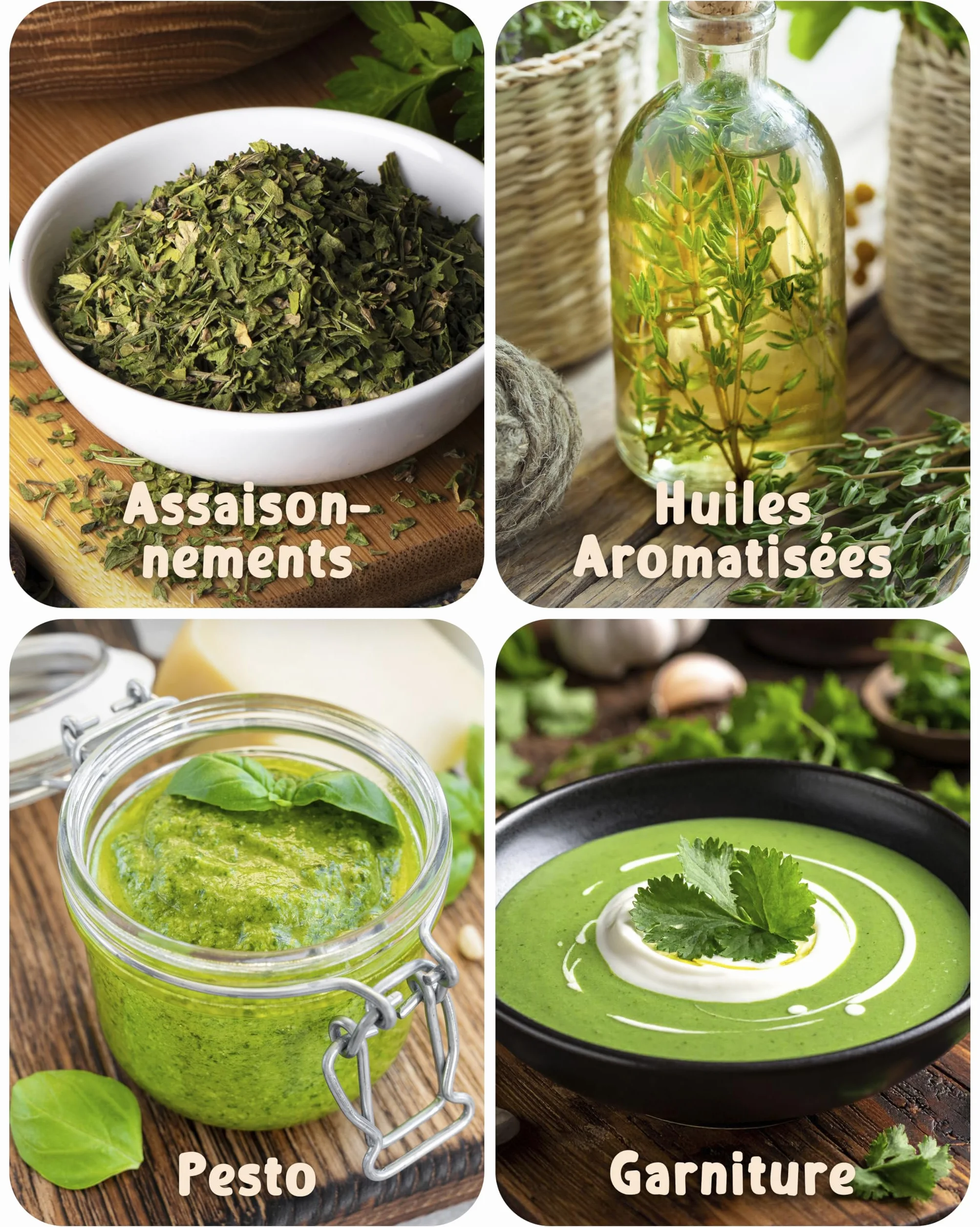 Kit de graines de herbes aromatiques bio 25 variétés ZenGreens® pour jardin balcon jardinière