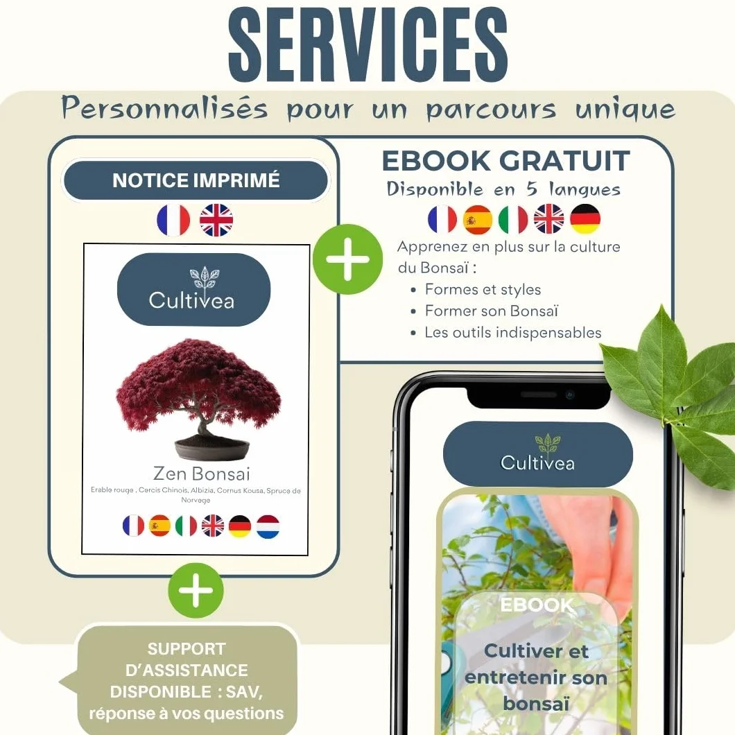 CULTIVEA® Mini Kit Prêt à Pousser 6 Bonsaï - Marque Française