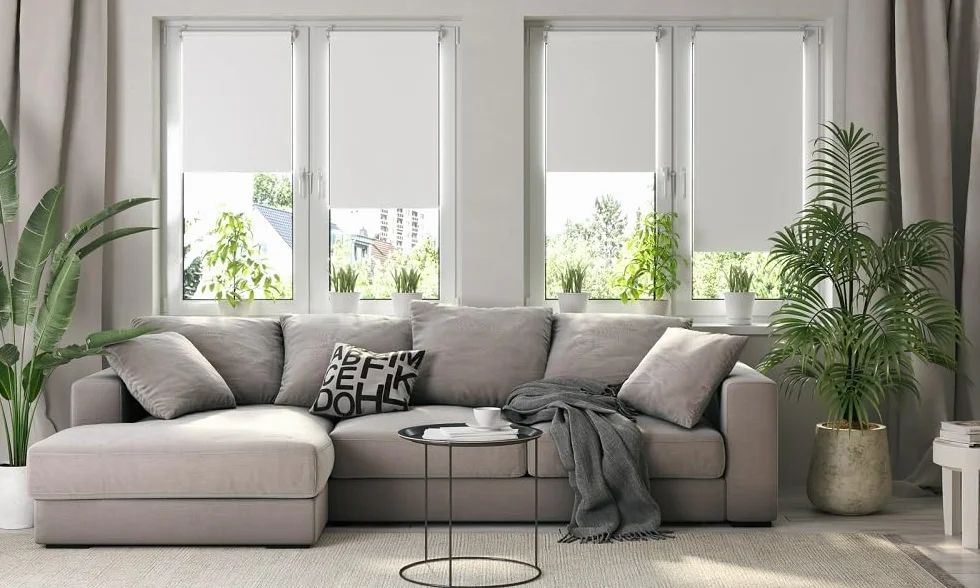 Sonello Store Occultant Klemmfix 50x100 cm Gris Opaque Store Enrouleur Fenêtres Portes Fixation sans Percage Protection Solaire