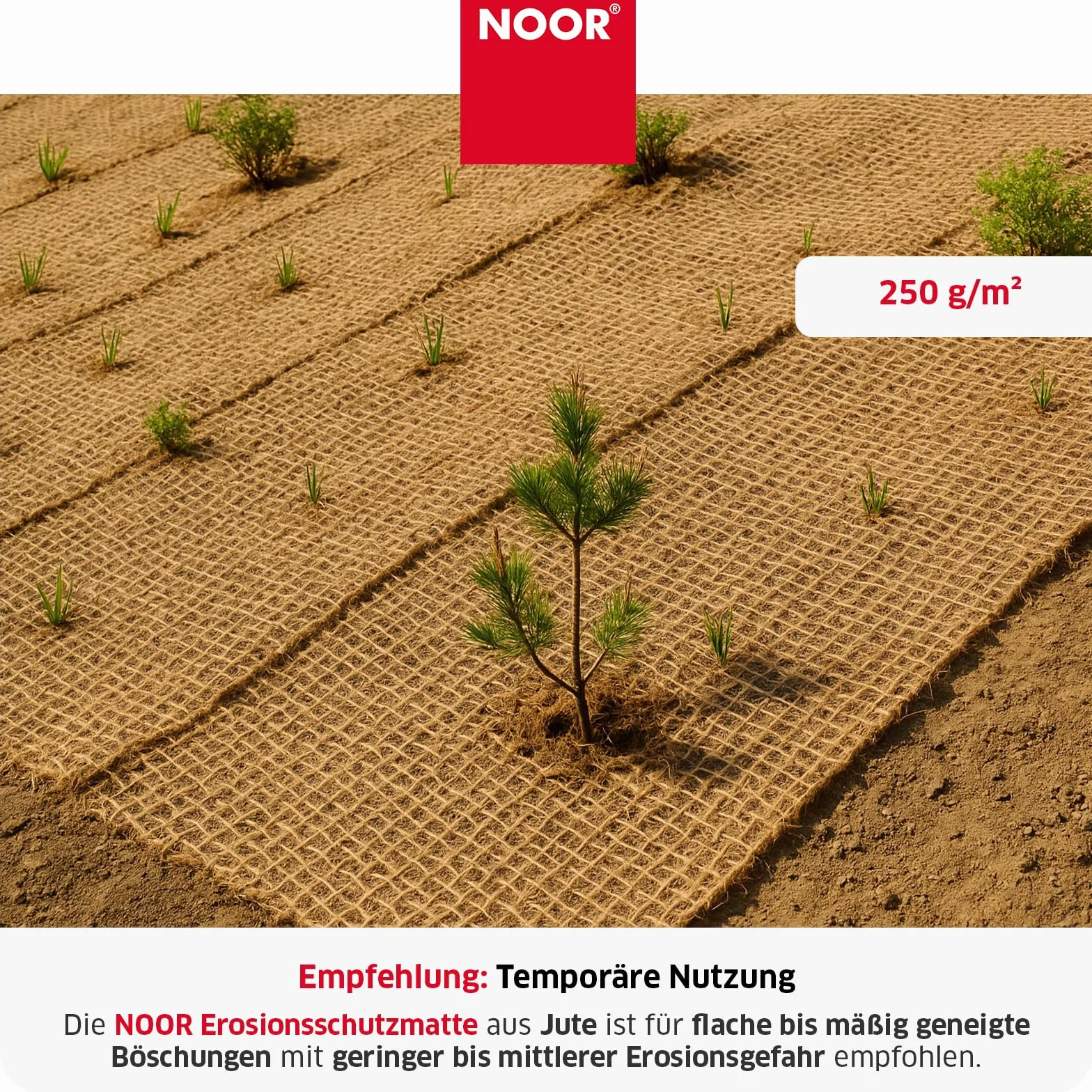 NOOR Tapis Anti-érosion 1,22 x 50m 250 g/m²