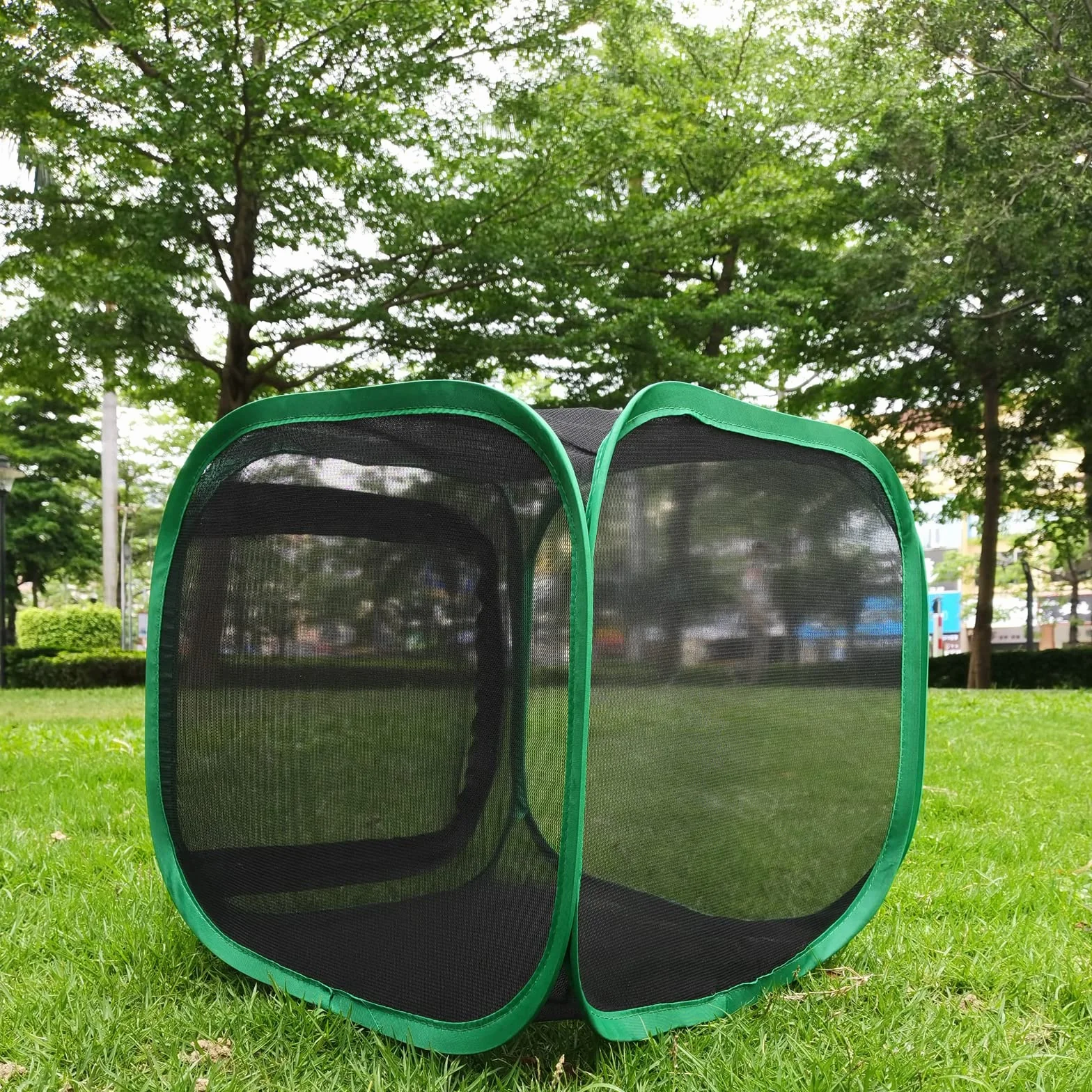 Hôtel à Insectes Pliable avec Cage Transparente pour Papillons