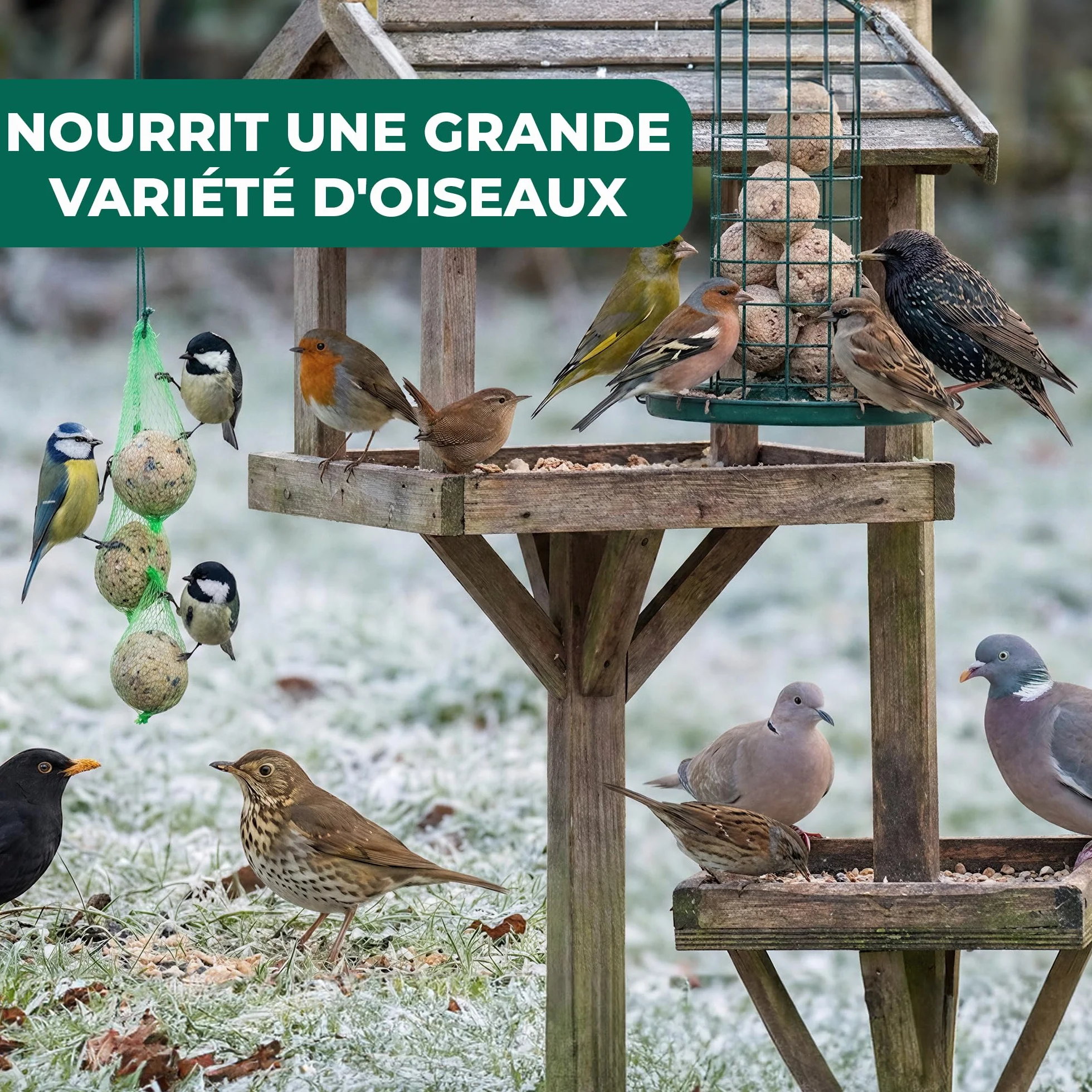 Boules de Graisse GardenersDream Friandises énergétiques pour Oiseaux Sauvages 300 pièces