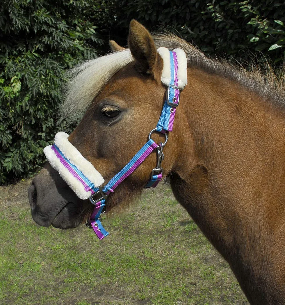 Rhinegold Licol en Fourrure à Rayures Brillantes pour Petit Poney, Mini Shetland, Rayures turquoises