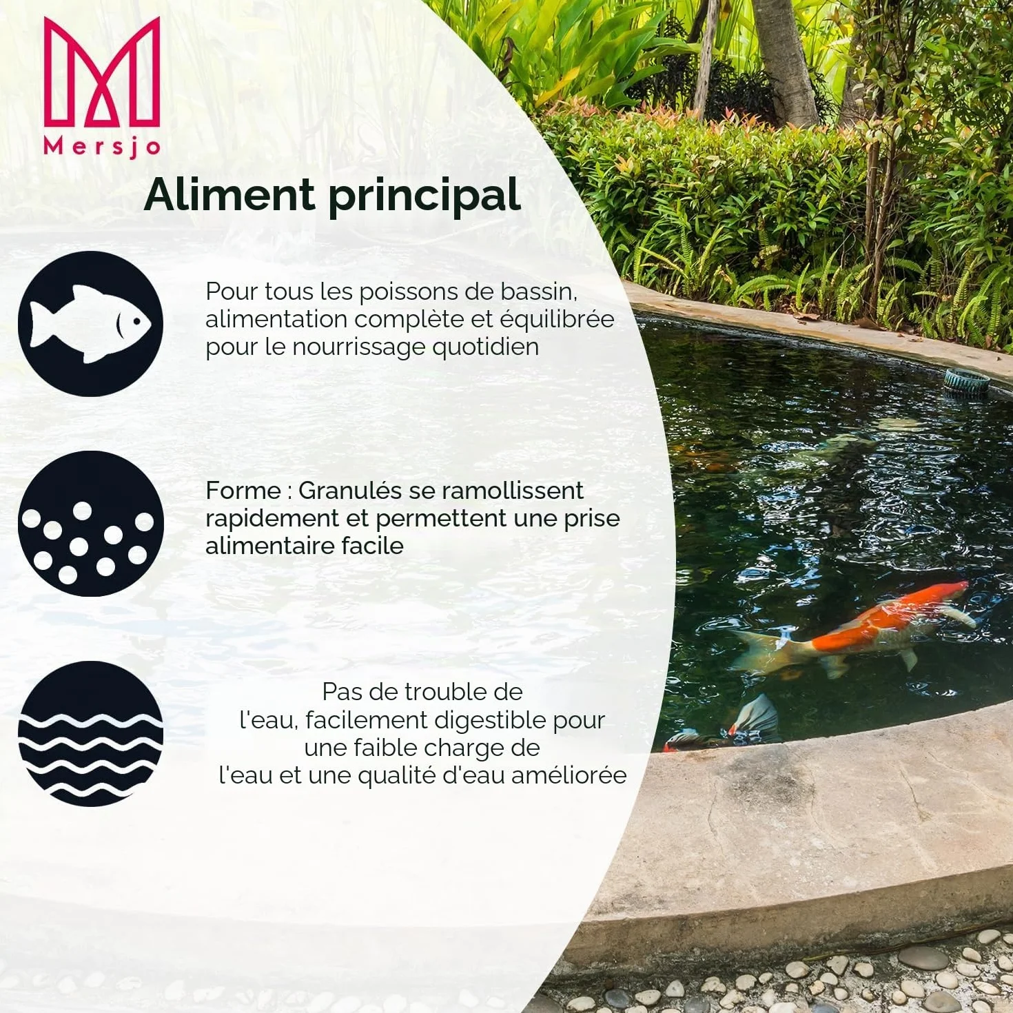 Nourriture pour poissons de bassin Granulés flottants 5 kg Grain 6 mm