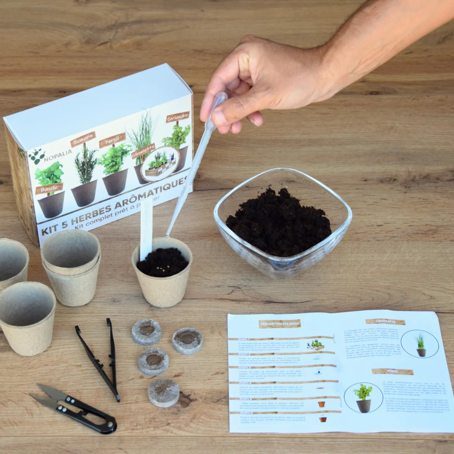 NOPALIA® Kit Herbes Aromatiques Bio Prêt à Pousser 5 Variétés Pots Biodégradables Cadeau Cuisine