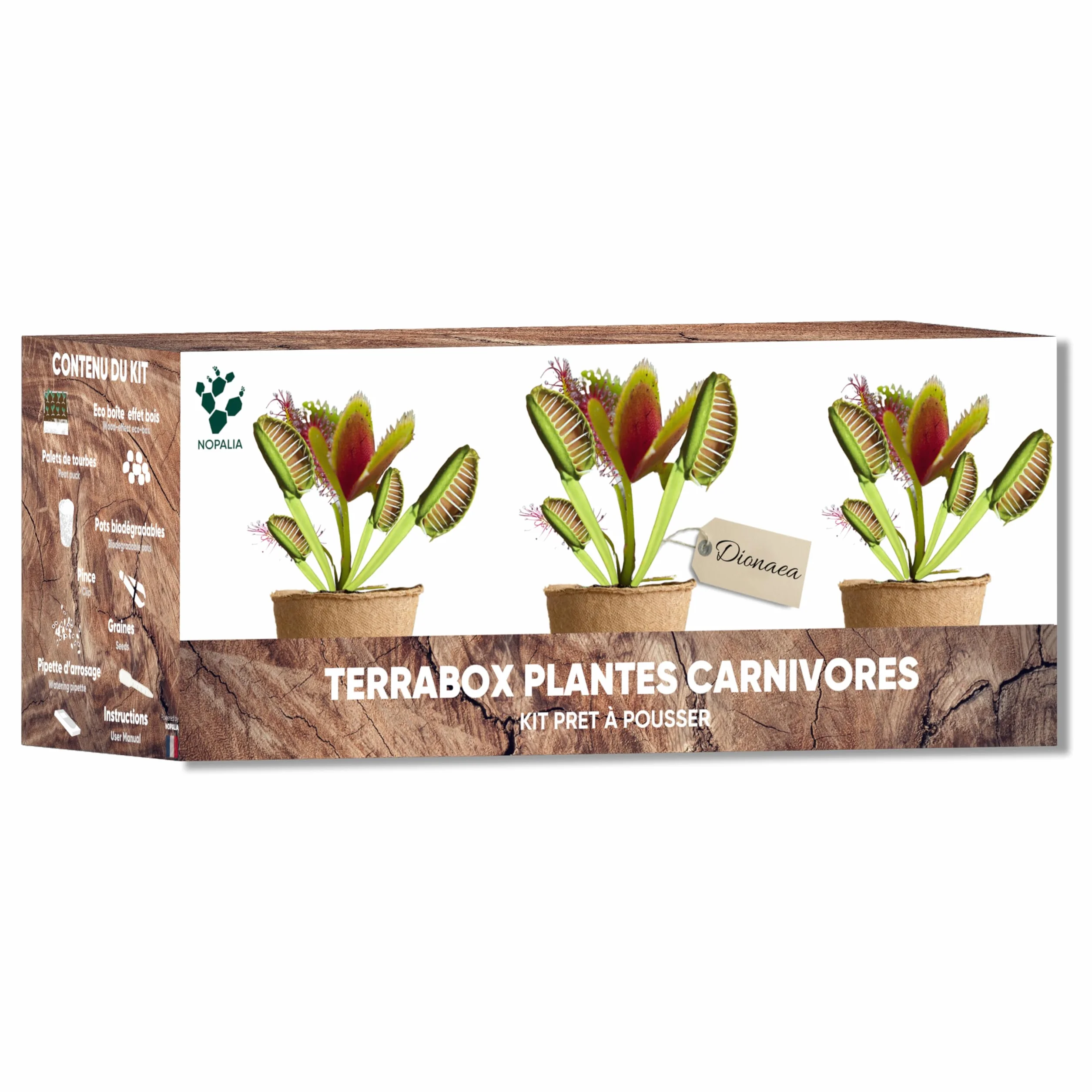 NOPALIA Kit Plantes Carnivores Dionée Attrape-Mouche Complet avec Graines Pots Tourbe Accessoires DIY Jardin Intérieur