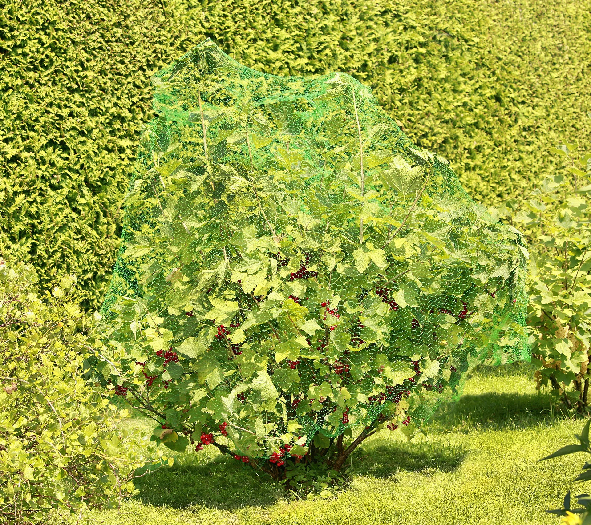 Windhager Protection Anti-Oiseaux Rational Filet foliaire 15 mm 5 x 4 m Vert