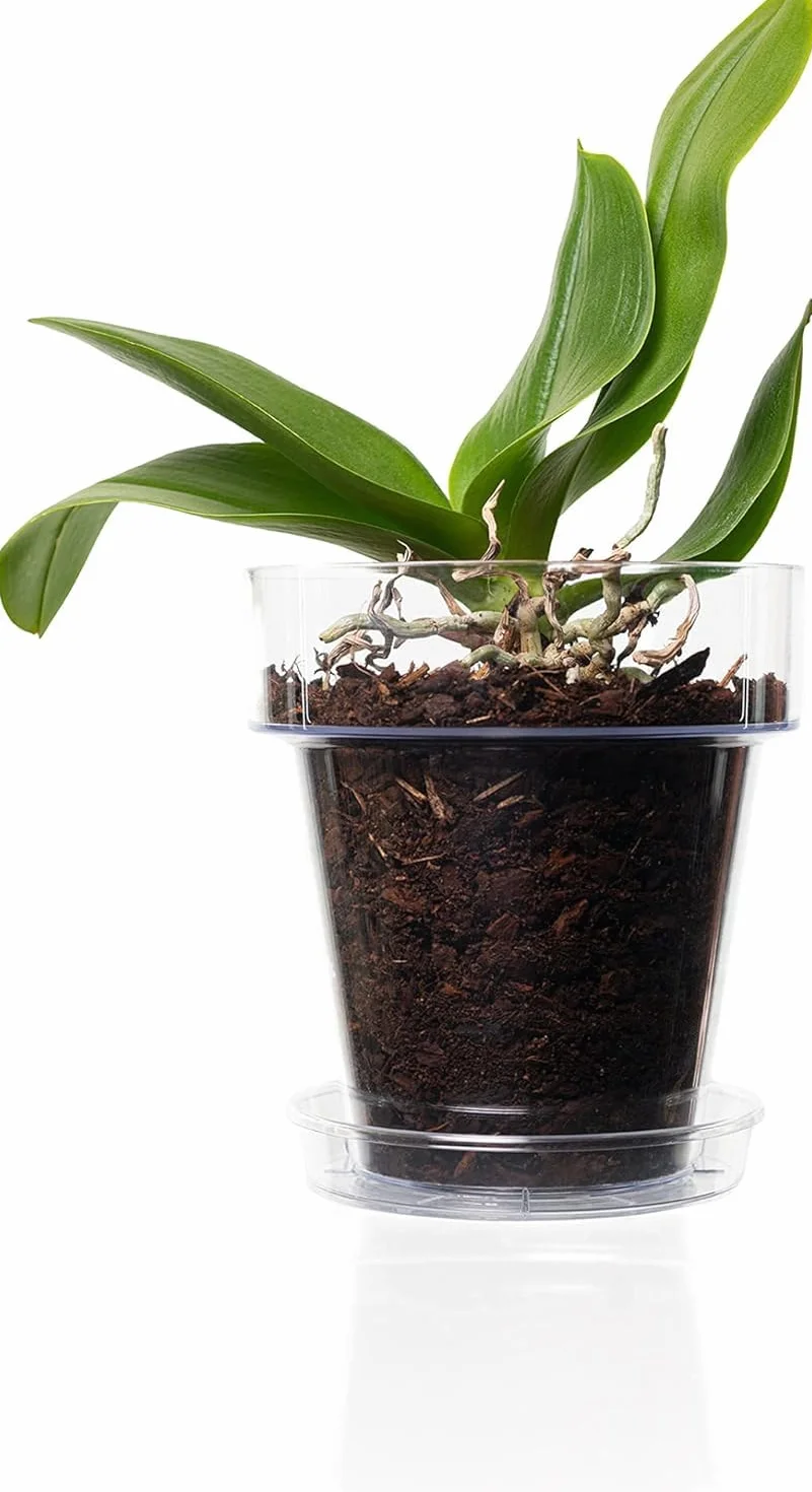 Pot pour orchidées Transparent Plastique Ø 16 cm avec Trous de vidange et soucoupes Lot de 3