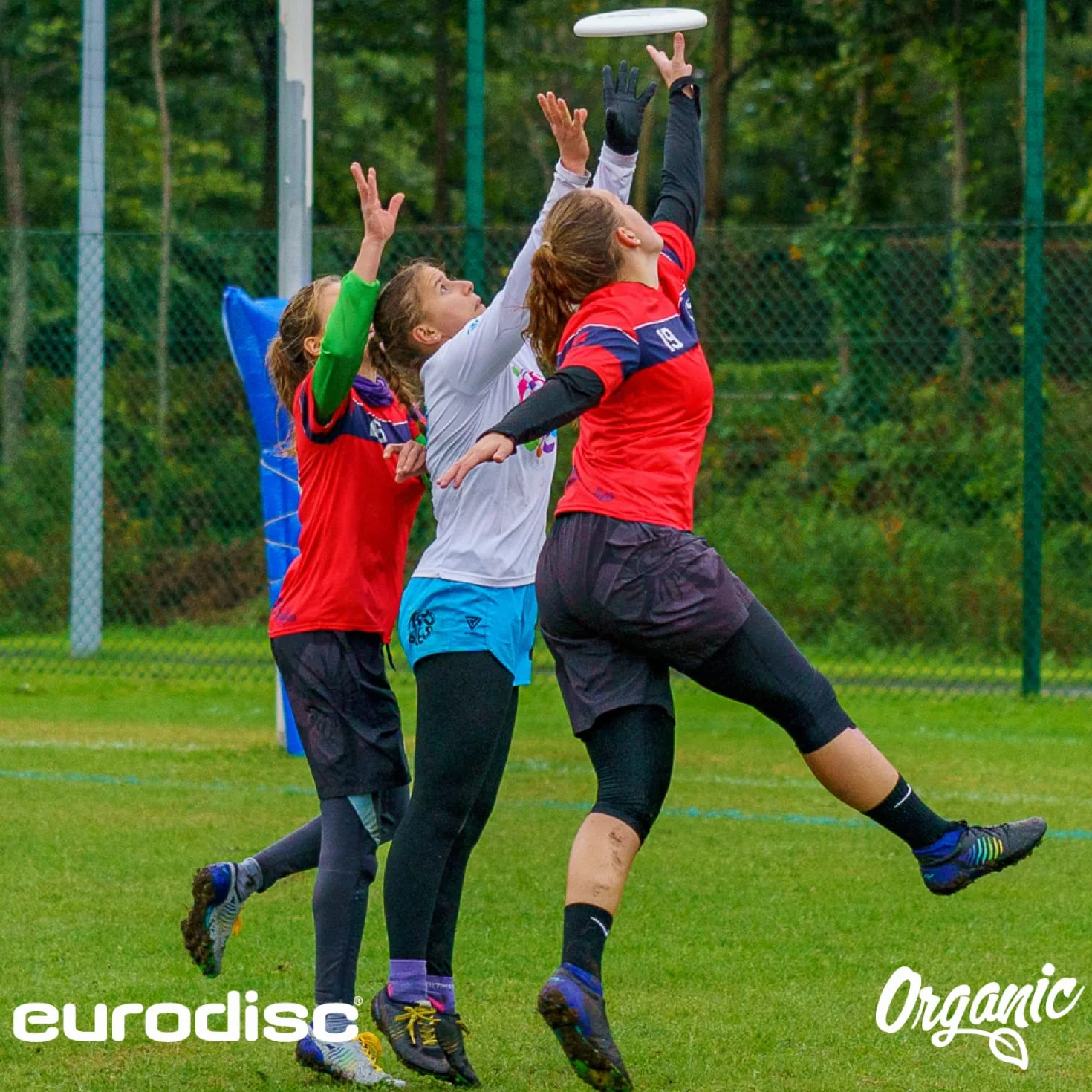 New Games - Frisbeesport EURODISC 4.0 - Ultimate Frisbee Créature 175 g