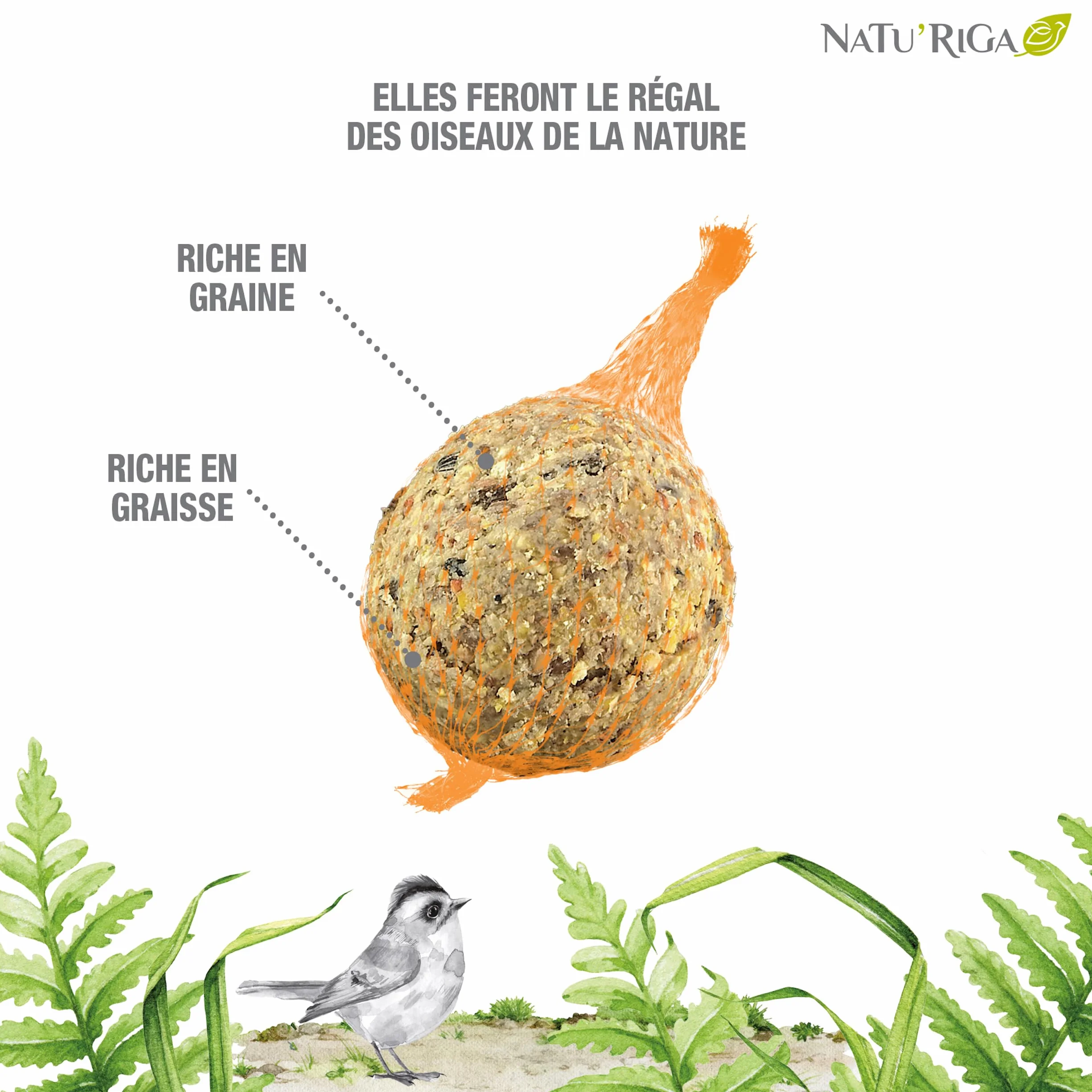NATU'RIGA Boules De Graisses Au Raisin Nourriture Oiseaux Exterieur x 4