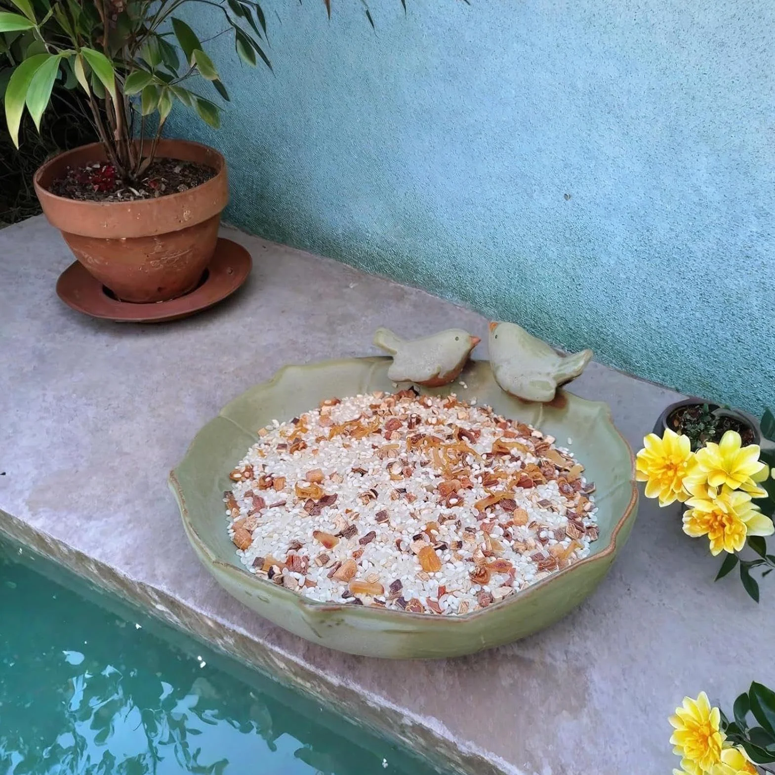 Mangeoire de bain pour oiseaux en céramique avec 2 oiseaux décoratifs pour extérieur