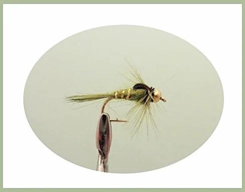 Lot de mouches de pêche - Nymphes à tête dorée, 18 plumes de queue de faisan, mouches oreille de lièvre couleur olive - Mélange de taille 10/12