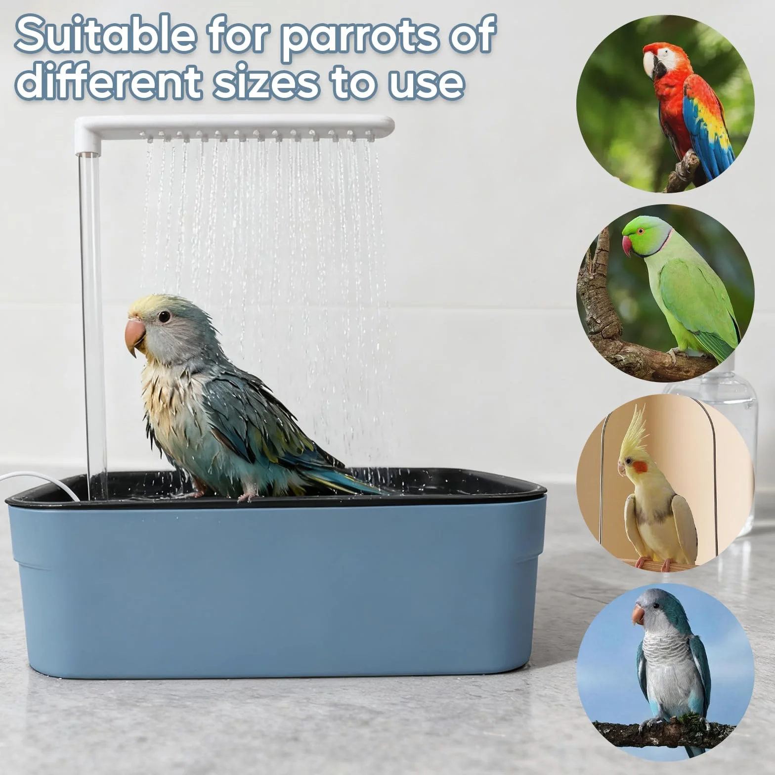 Baignoire pour Oiseaux avec Circulation d'Eau, Bac de Douche Automatique pour Perroquet, Câble USB, pour Perruche Cacatoès