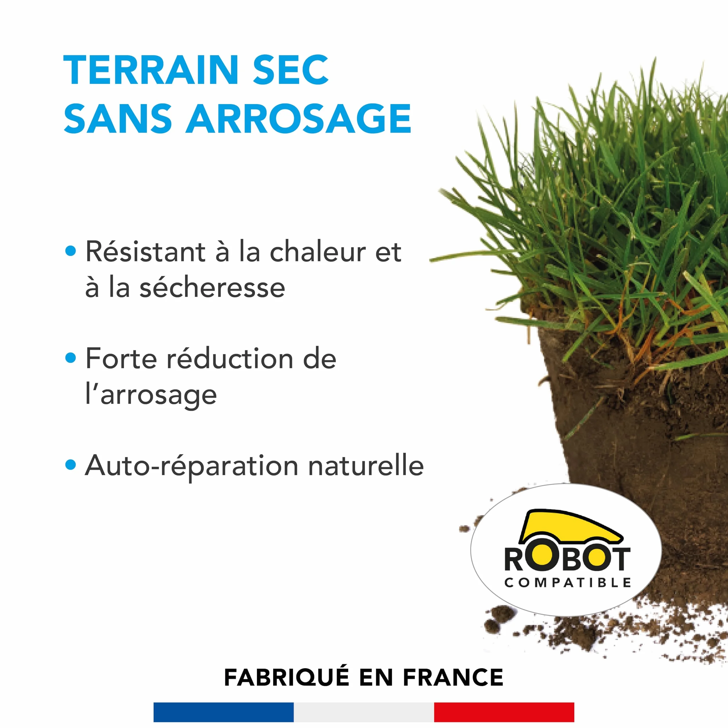 Barenbrug Gazon Terrain Sec sans arrosage 1KG Résiste Chaleur Sécheresse Forte Réduction Arrosage Autoréparation Naturelle