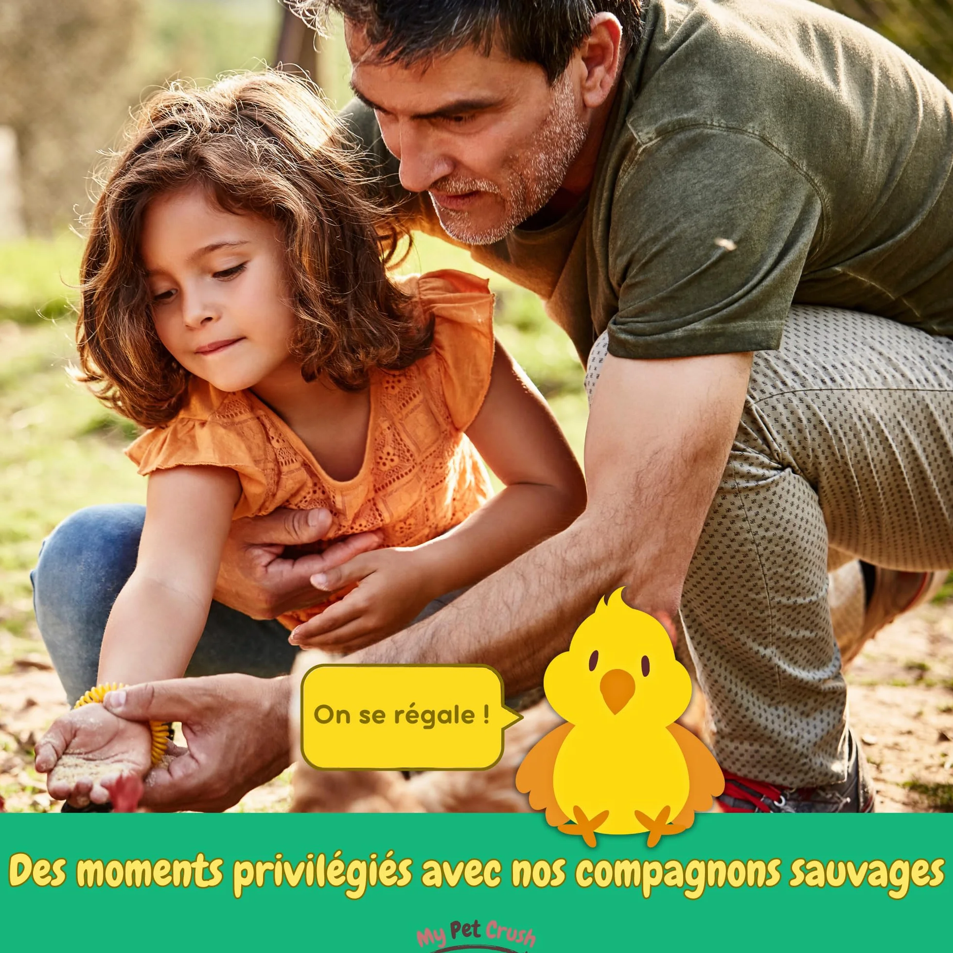 Vers de Farine Séchés 3,5L pour Poules Oiseaux Tortues Reptiles Carpes 100% Naturel Riche en Protéines