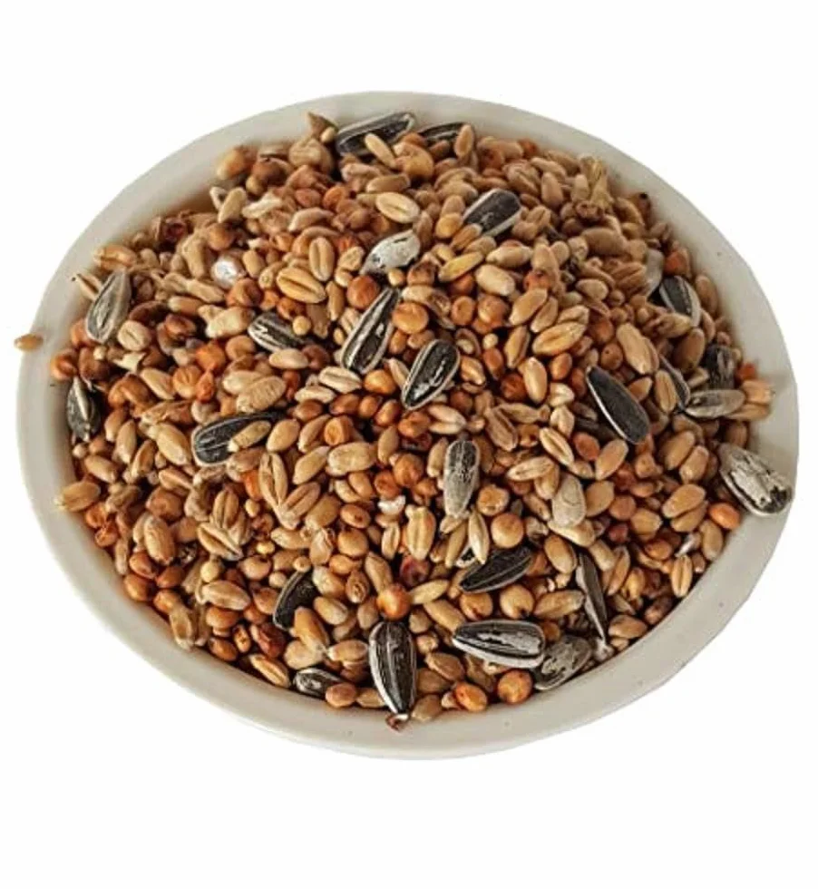 Aime Nourriture pour Oiseaux Mélange de Graines 1 KG