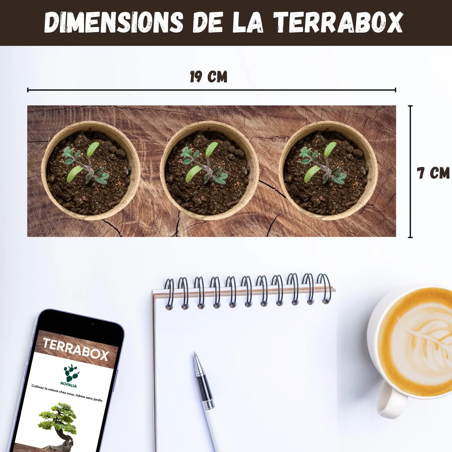 NOPALIA Kit Plantes Carnivores Dionée Attrape-Mouche Complet avec Graines Pots Tourbe Accessoires DIY Jardin Intérieur