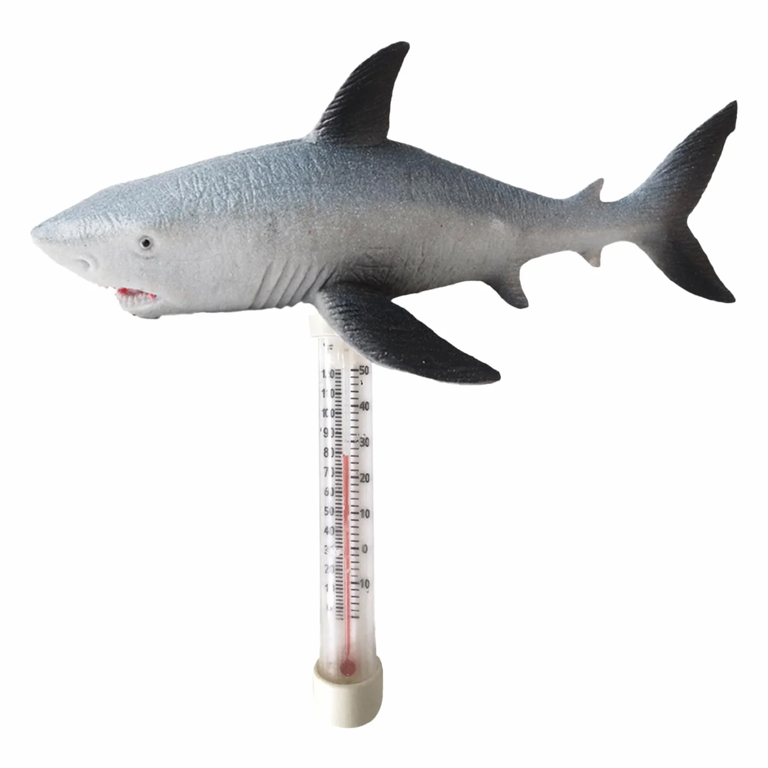 Thermomètre Flottant pour Piscine avec Cordon Intérieur Extérieur