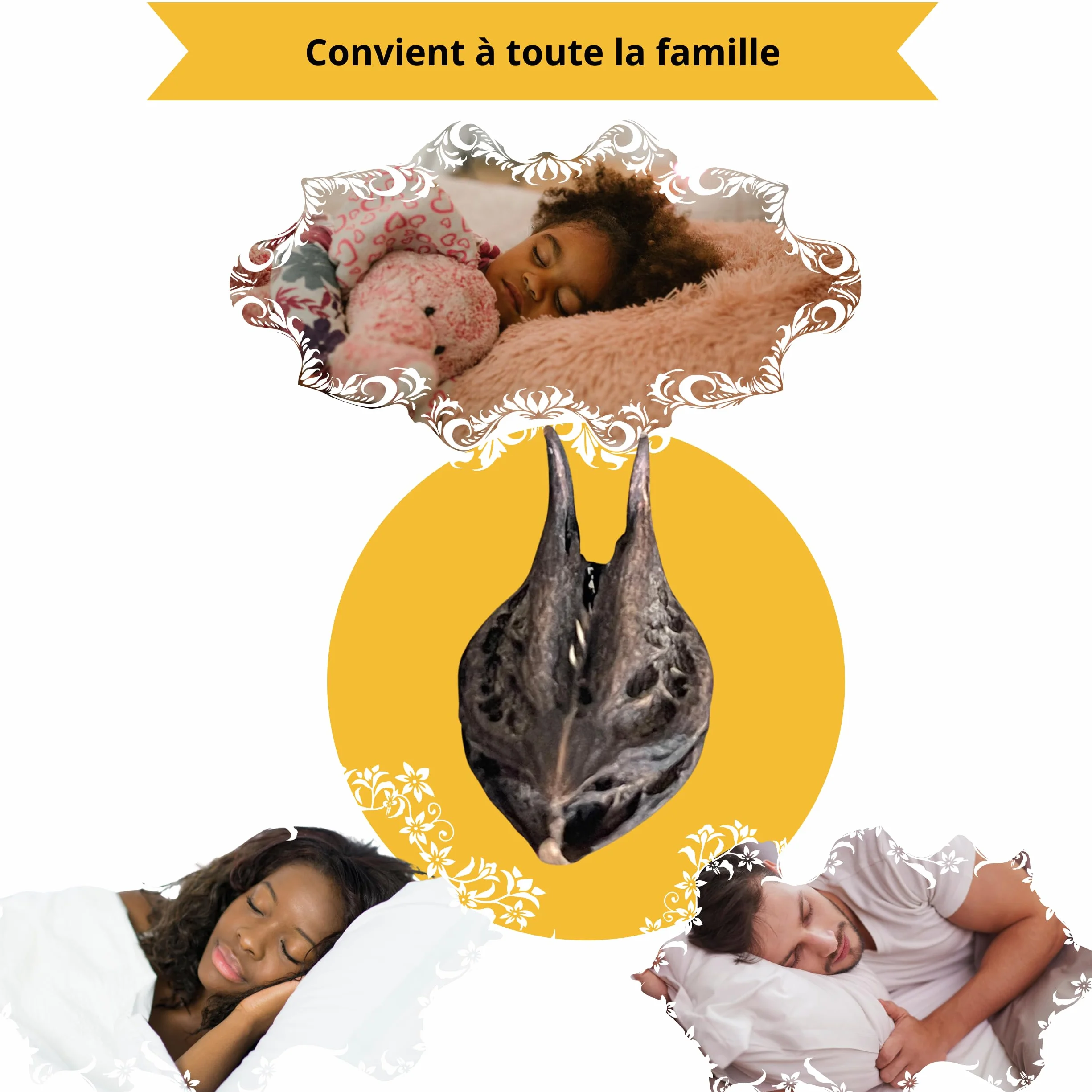 Griffes du Lion 20 Pièces Martynia Annua Bicorne Séché Soin Ayurvédique Herboristerie Protection Énergétique