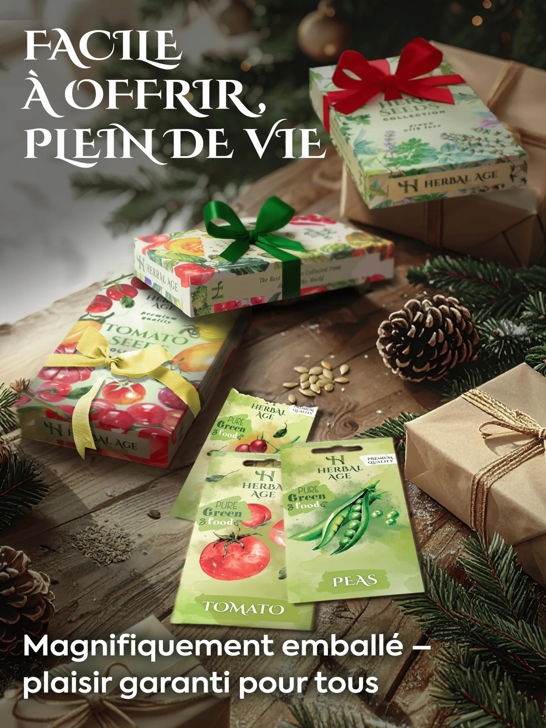 HERBAL AGE 12 Variétés de Plantes d'Herbes, 8700 Graines d'Herbes, Kit de Jardinieres Exterieur