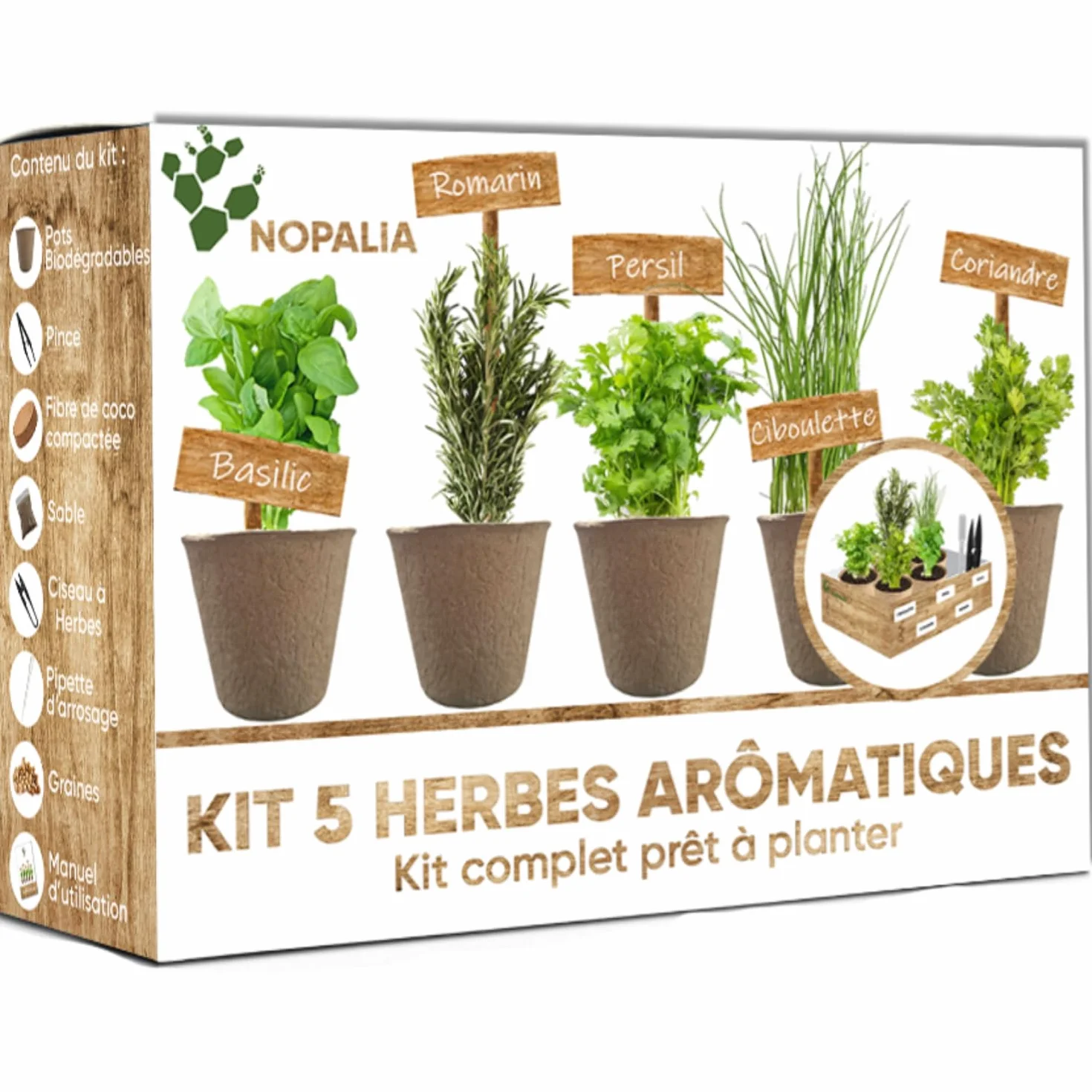 NOPALIA® Kit Herbes Aromatiques Bio Prêt à Pousser 5 Variétés Pots Biodégradables Cadeau Cuisine
