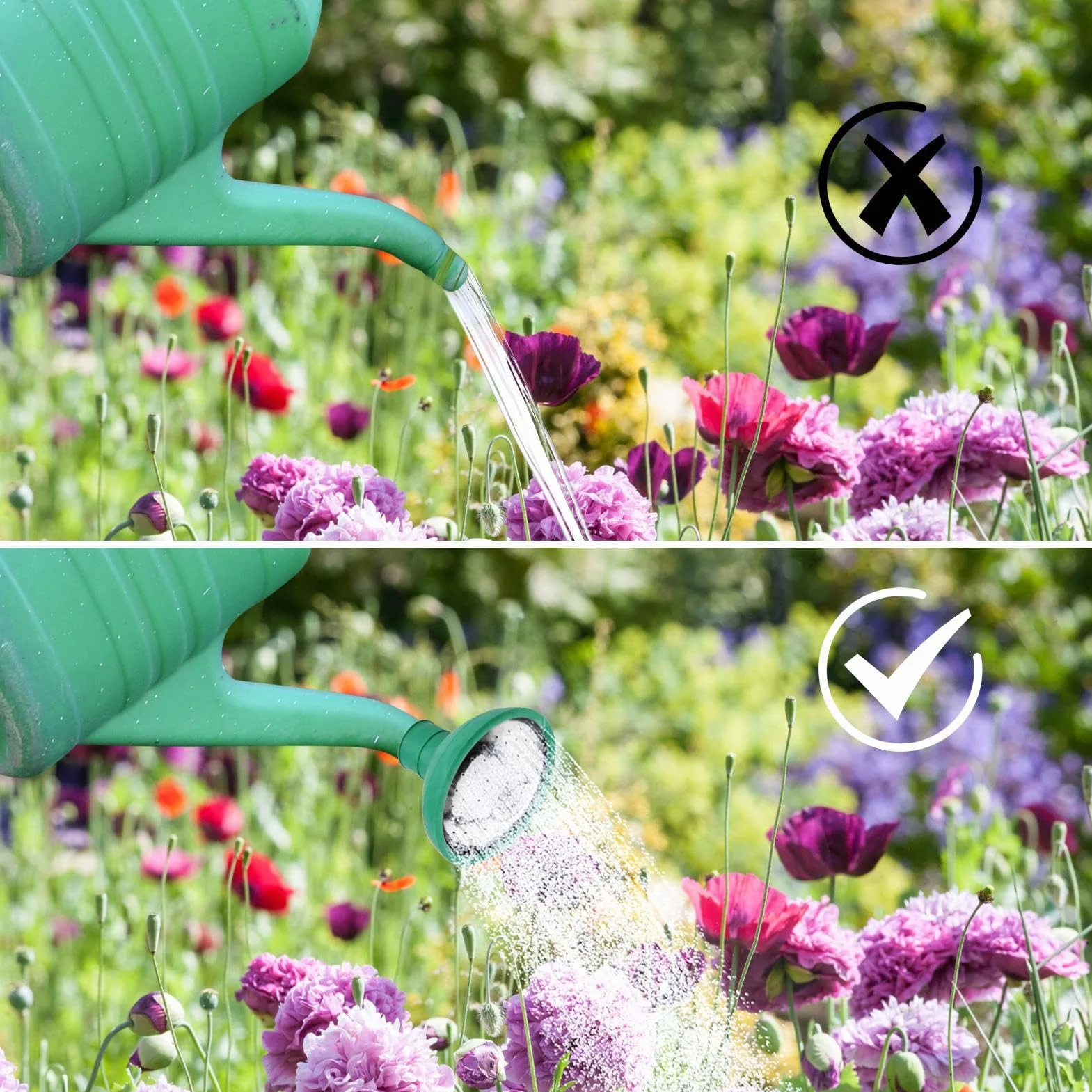Buse d'Arrosage pour Rosiers - Tête Polyvalente pour Jardin - Pulvérisation Précise pour Balcon, Cour, Ferme