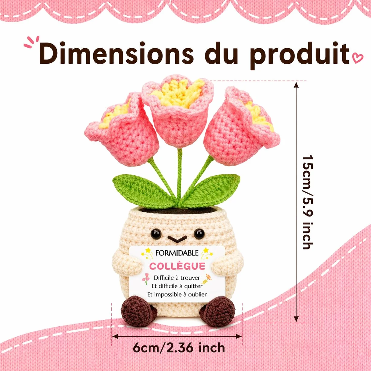 Pot De Fleurs Au Crochet Cadeau Collegue Femme Anniversaire Idée Depart Retraite Message Présent Elle Déco Bureau Unique Noël Fête