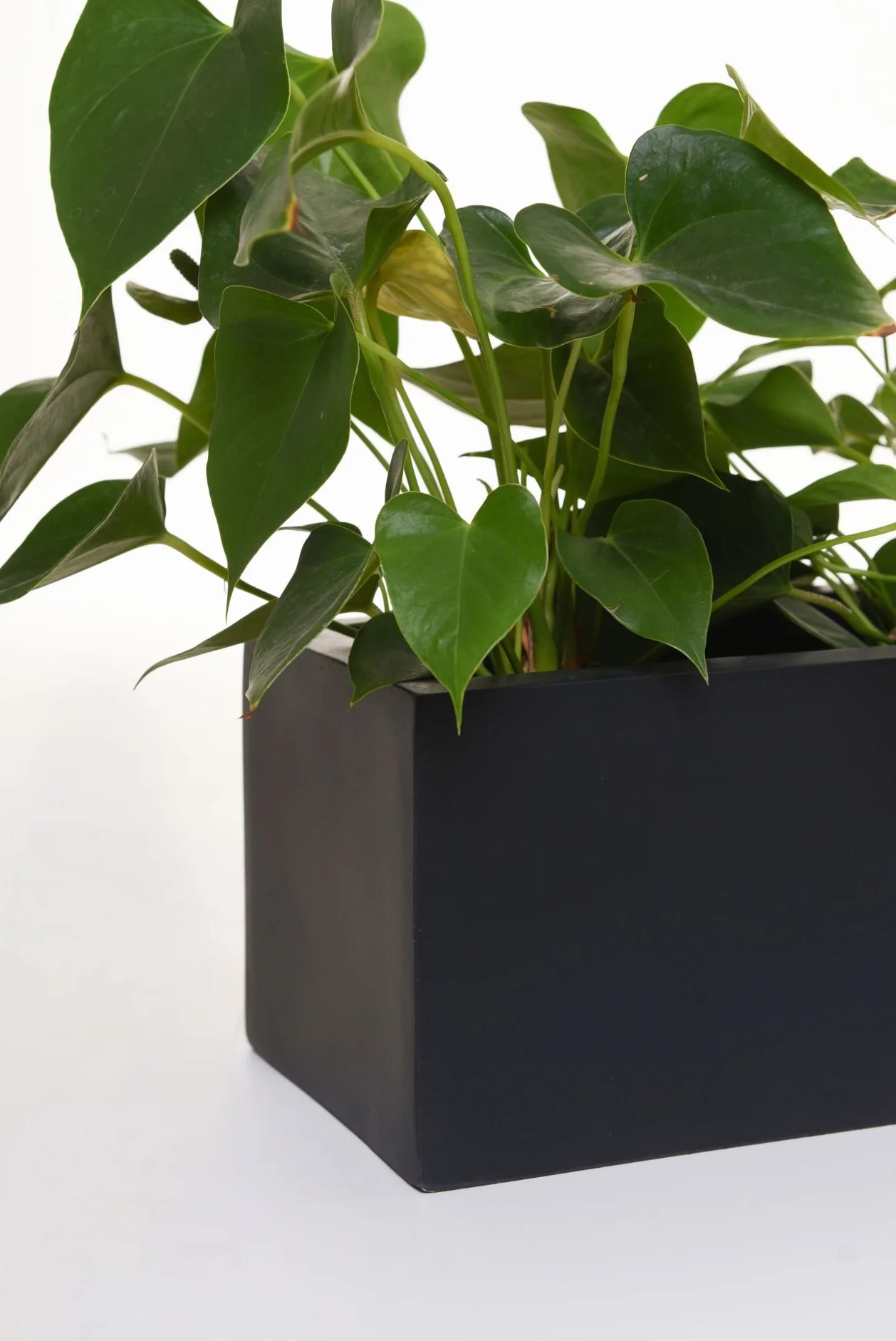 VIVANNO Jardinière Balcon Fibre de Verre FLOBO Anthracite 15x100x17 cm