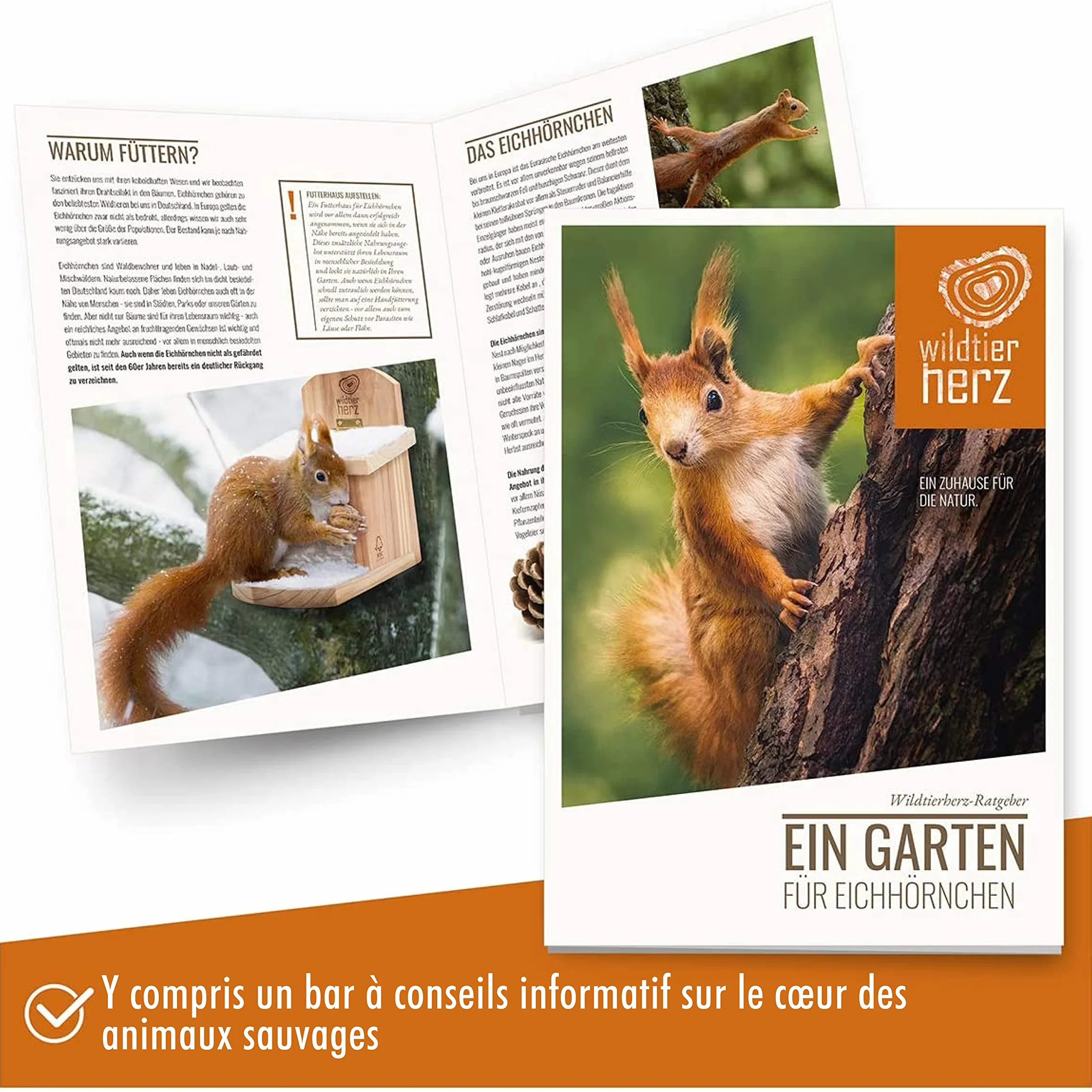 Mangeoire Écureuil en Bois Massif - Distributeur de Nourriture Animaux Imperméable