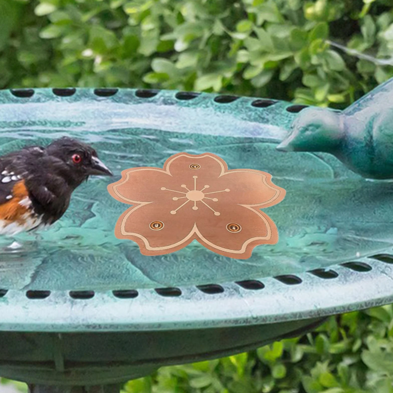 Disque de Purification Cuivre Triple Point pour Bain d'Oiseaux Accessoire Jardin