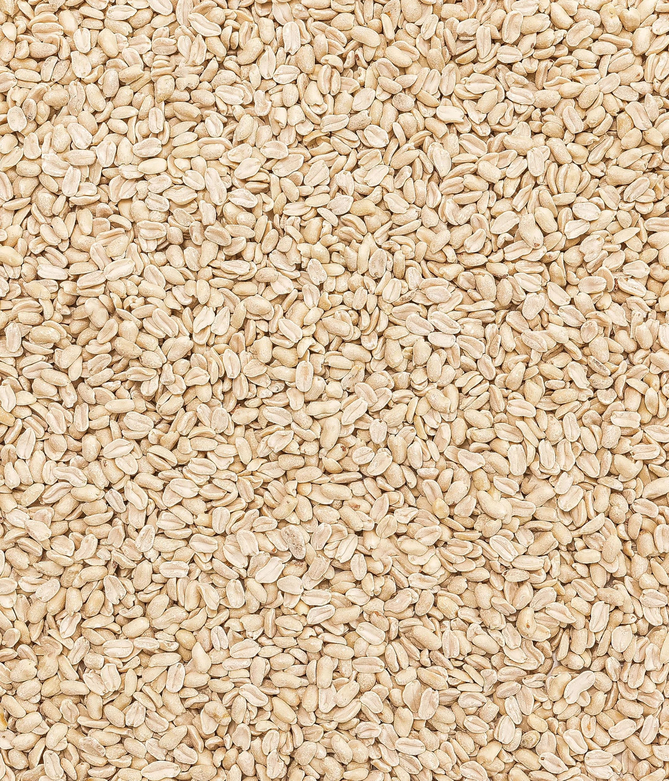Dehner Natura Premium Nourriture pour Oiseaux Sauvages arachides entières et Semi-entières 10 kg