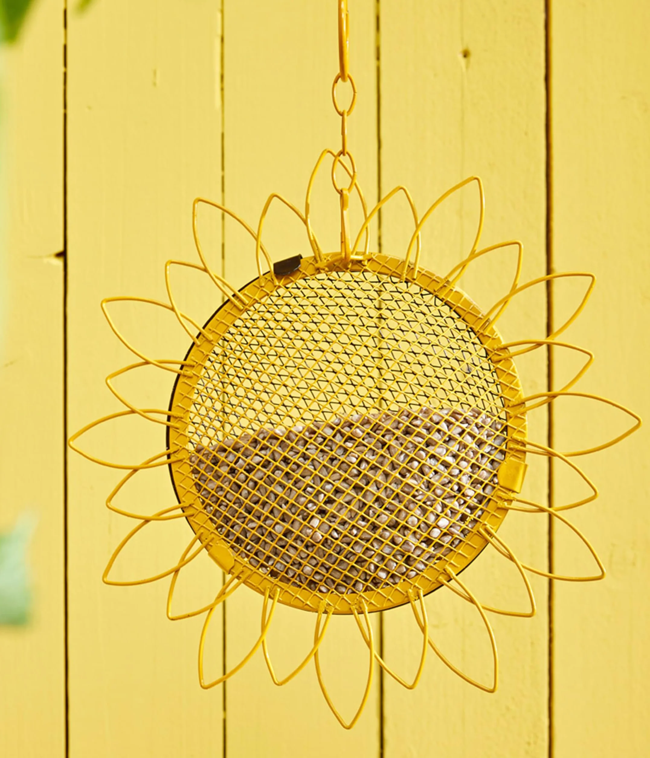 Dehner Natura Premium Nourriture pour Oiseaux Sauvages Graines de Tournesol Décortiquées 1 kg