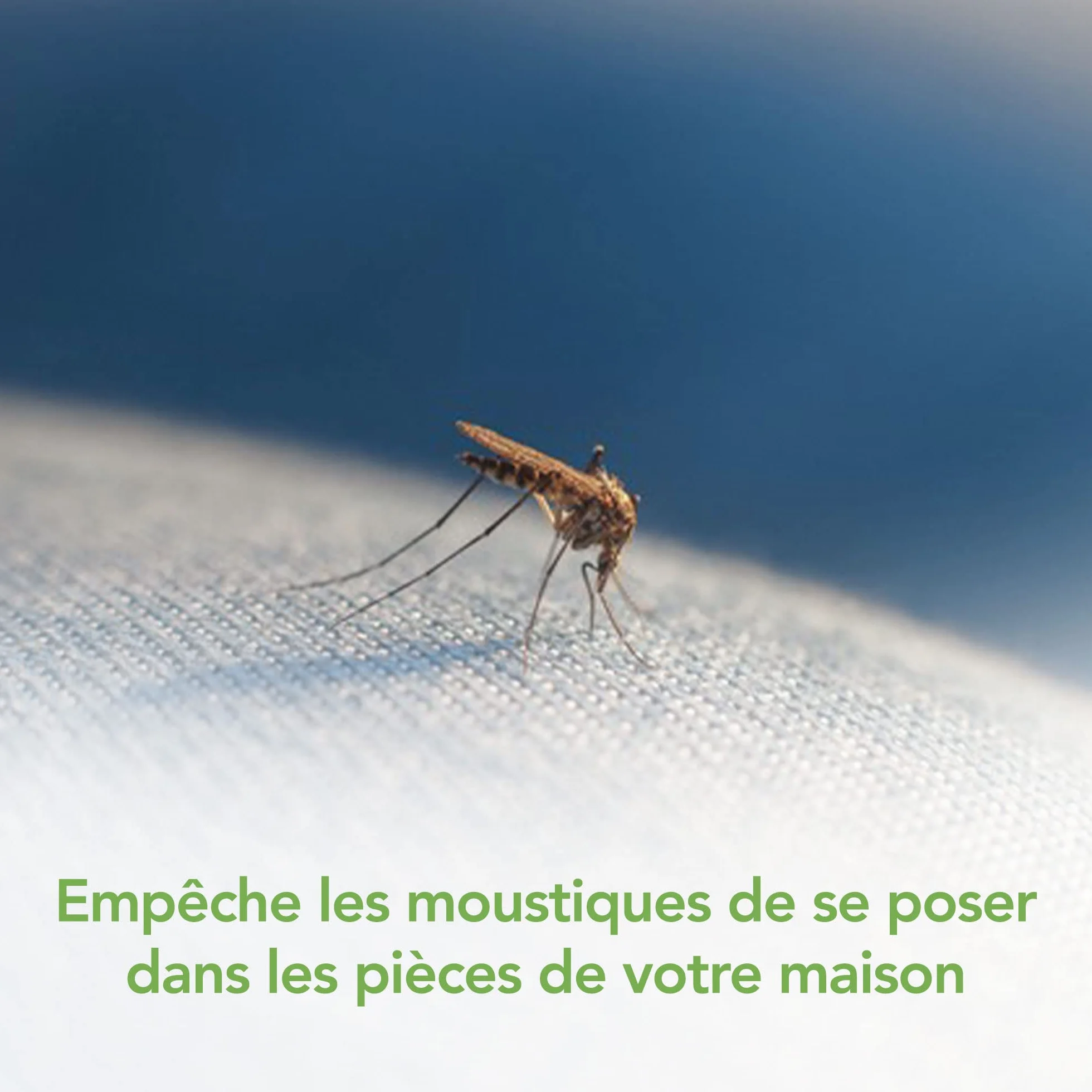 Raid Aérosol Volants Répulsif Moustiques Tigres 300 ML