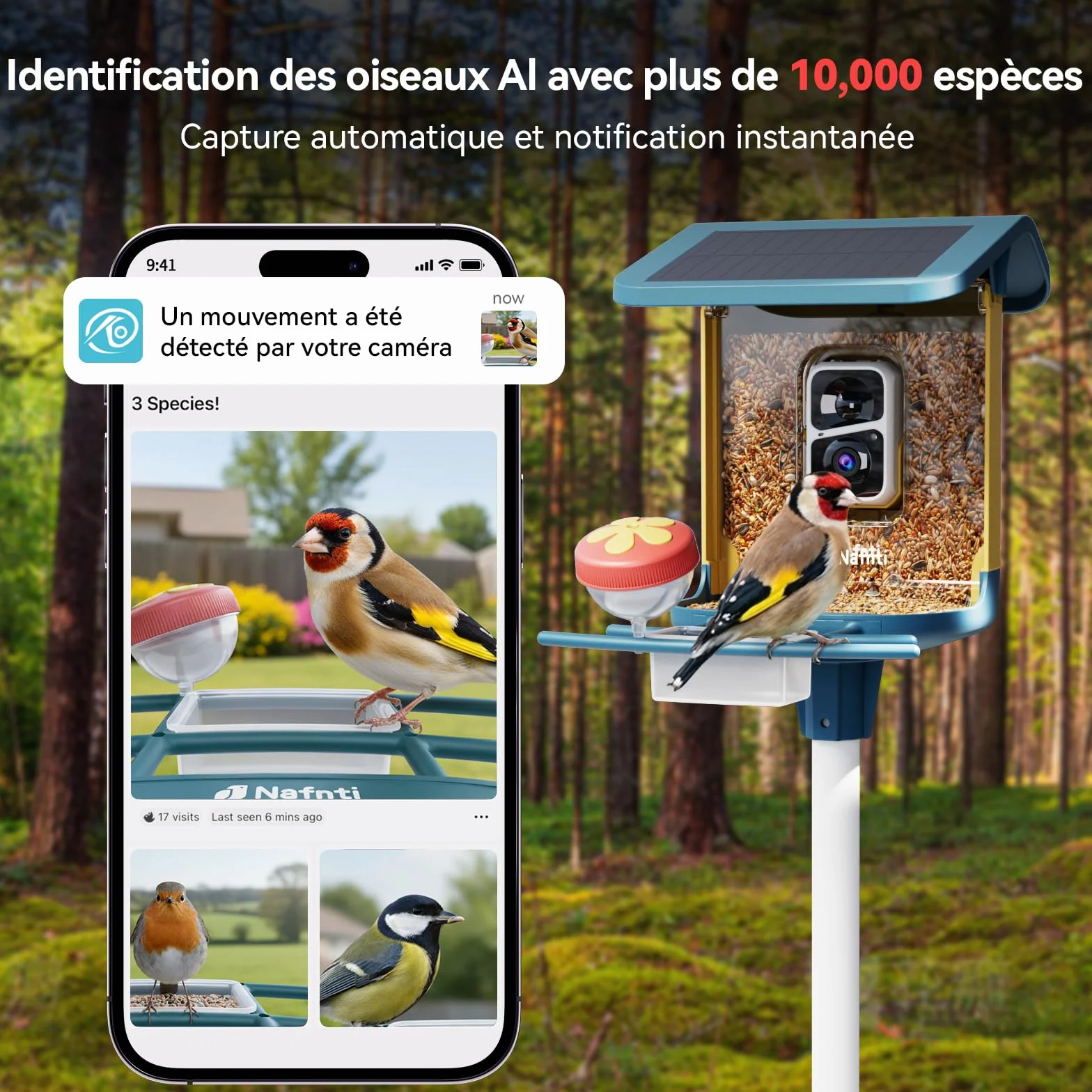 Mangeoire à Oiseaux Caméra 2K Solaire WiFi 2,4/5 GHz Vision Nocturne Couleur Identification IA 10 000 Espèces IP65