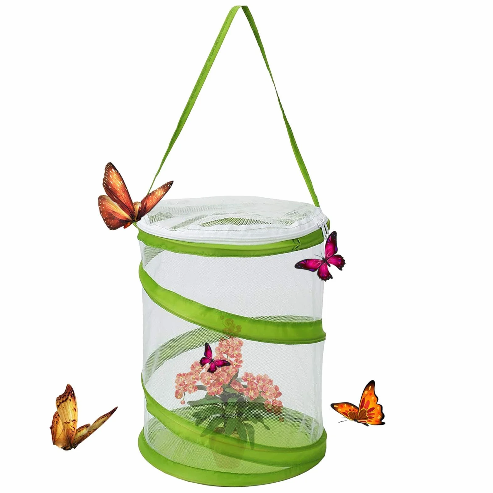 Cage à insectes pliable - Cage papillon d'élevage et de reproduction