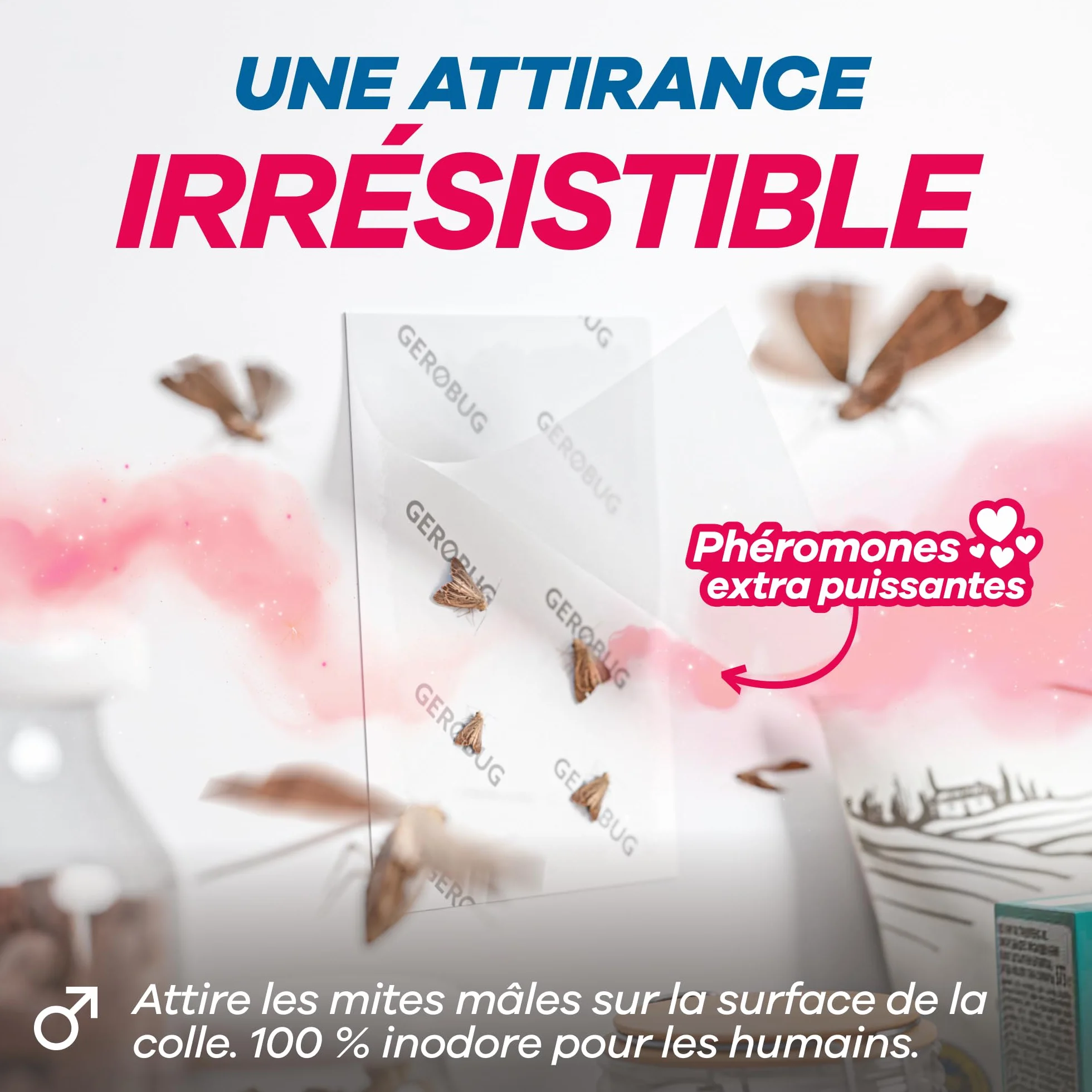 GEROBUG Piège à Mites Alimentaires 10 pièces XXL Pack - Pièges à Phéromone Sans Odeur Longue Durée