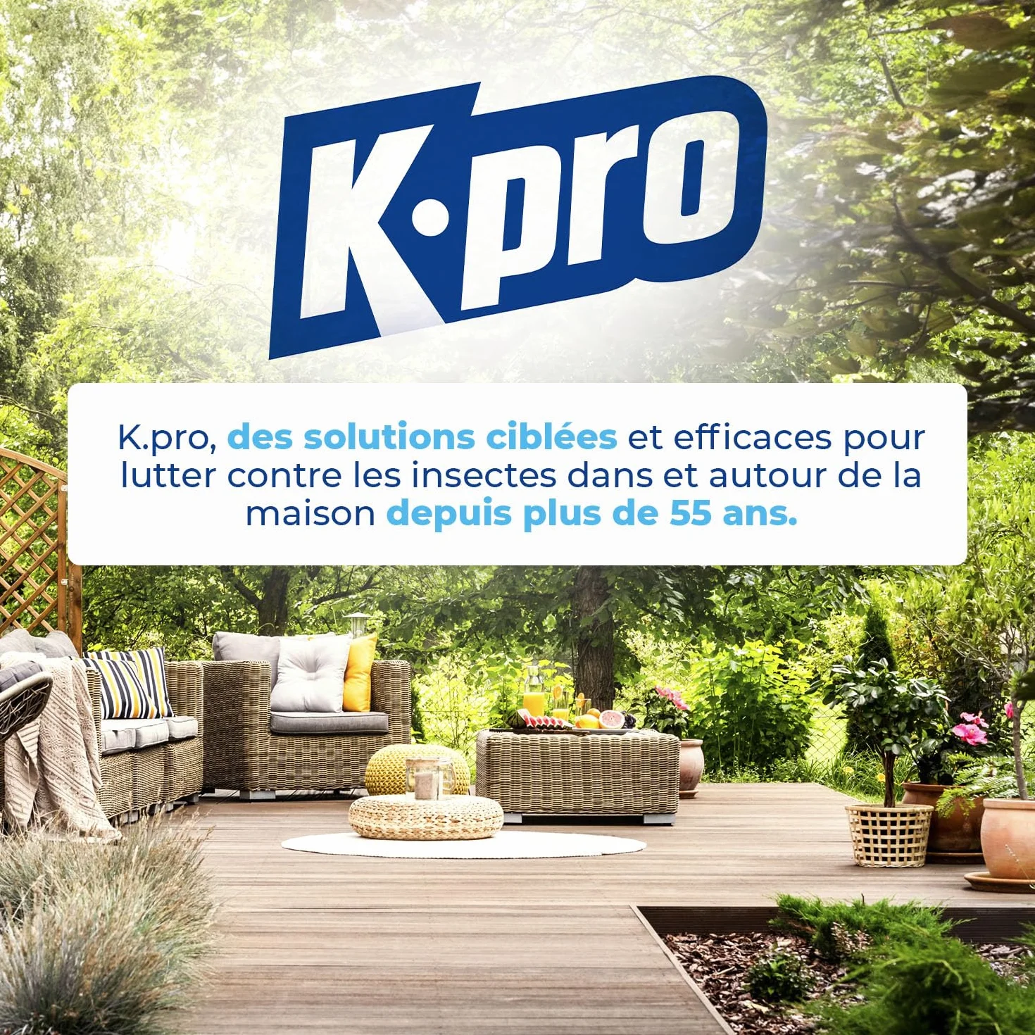 K.PRO Aérosol foudroyant choc nids de guêpes et frelons 500ml, Jet longue portée 6 mètres