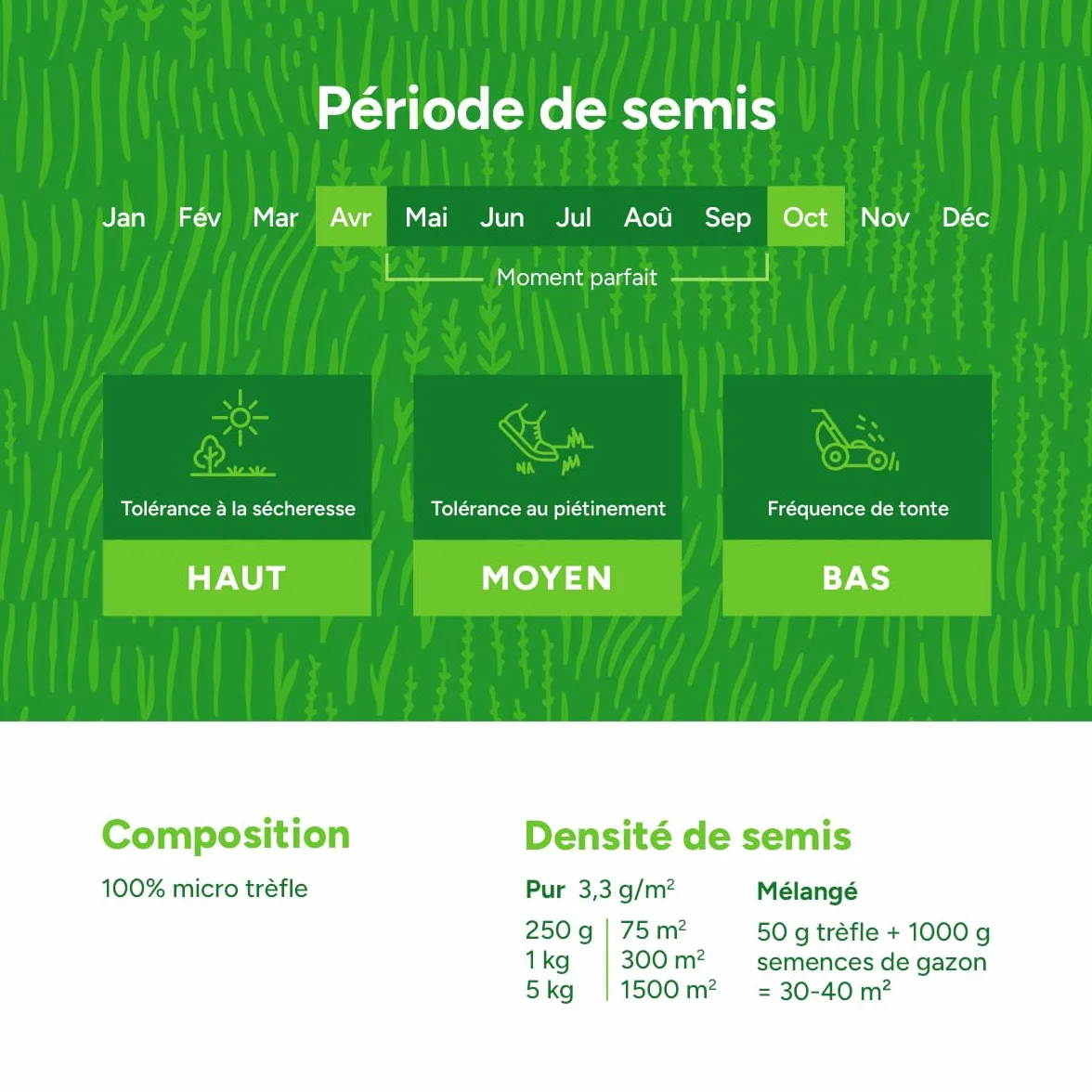 Micro-trèfle 250 g pour 75 m² Résistant à la sécheresse Pelouse extra dense sans mousse Libération lente d'azote