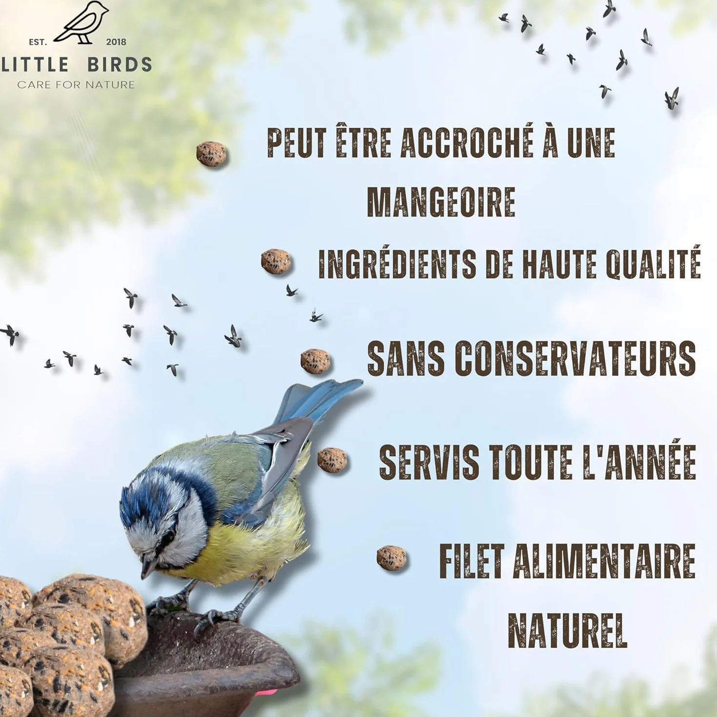 Care4Nature 60 Boules de Graisse Oiseaux du Jardin avec Mangeoire - Ingrédients Naturels