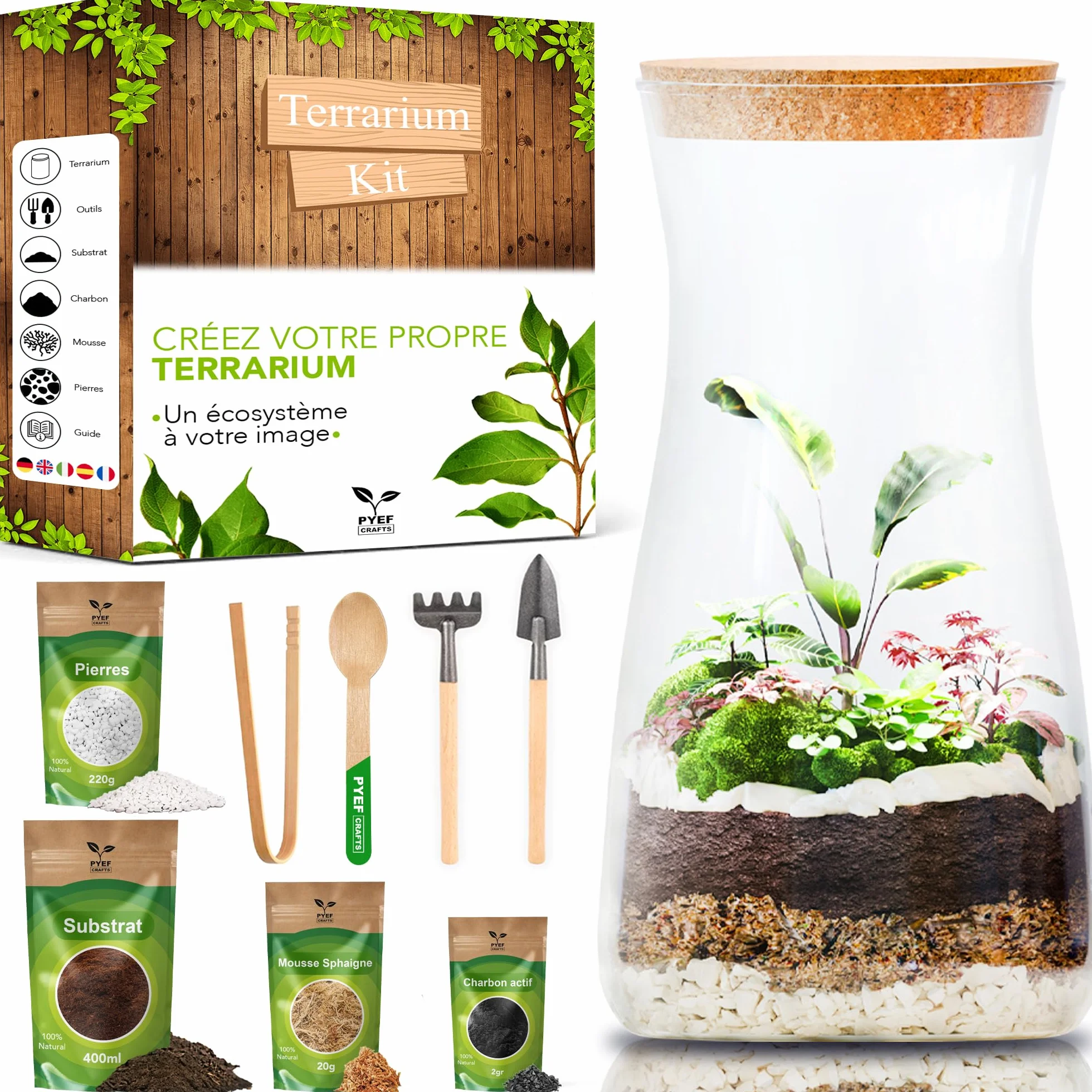 Kit Terrarium Plante DIY Verre - Prêt-à-Pousser Jardin Bouteille - Set Faire Pousser