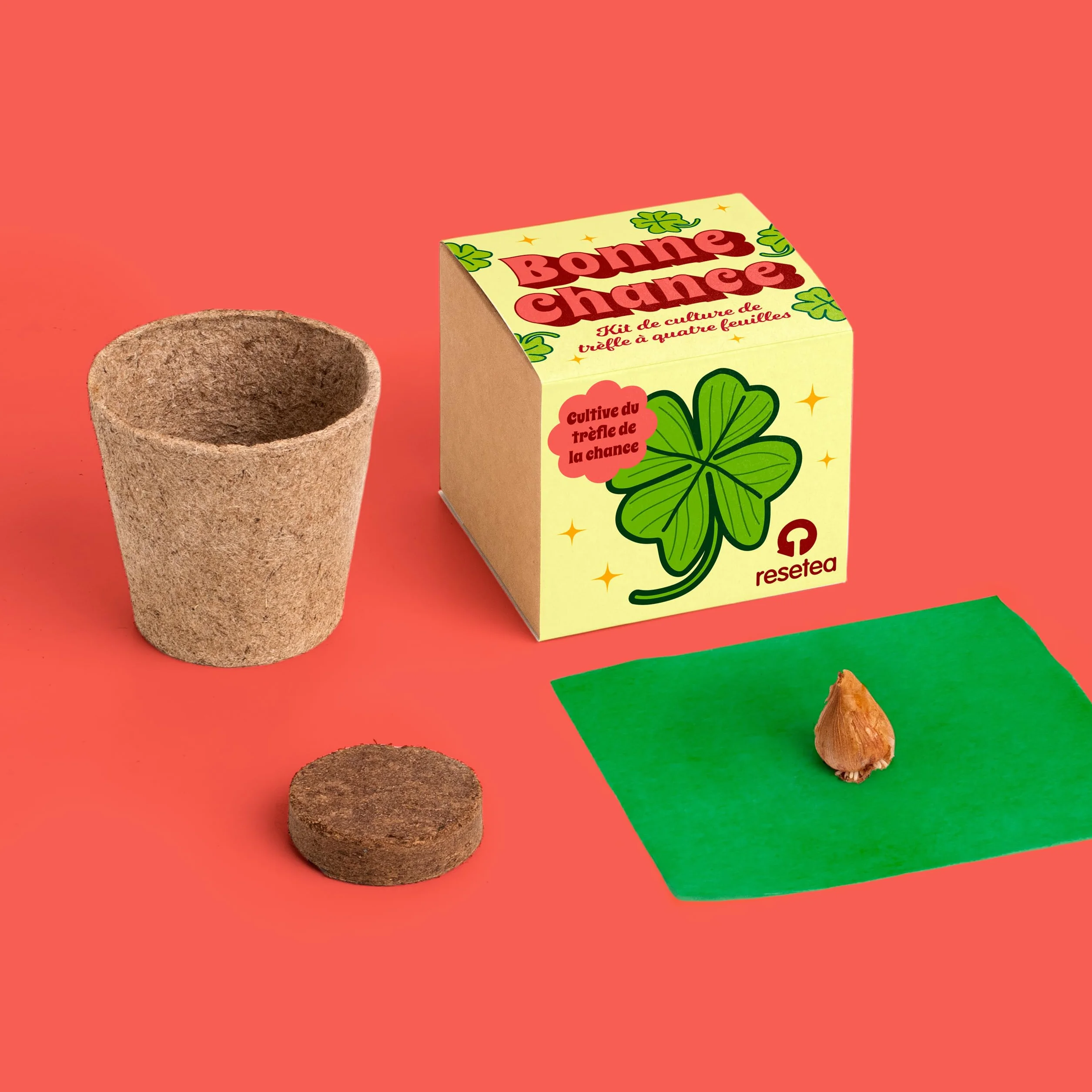 Oxalis Deppei Kit de Culture Trèfle à 4 Feuilles Plante Naturelle Porte Chance