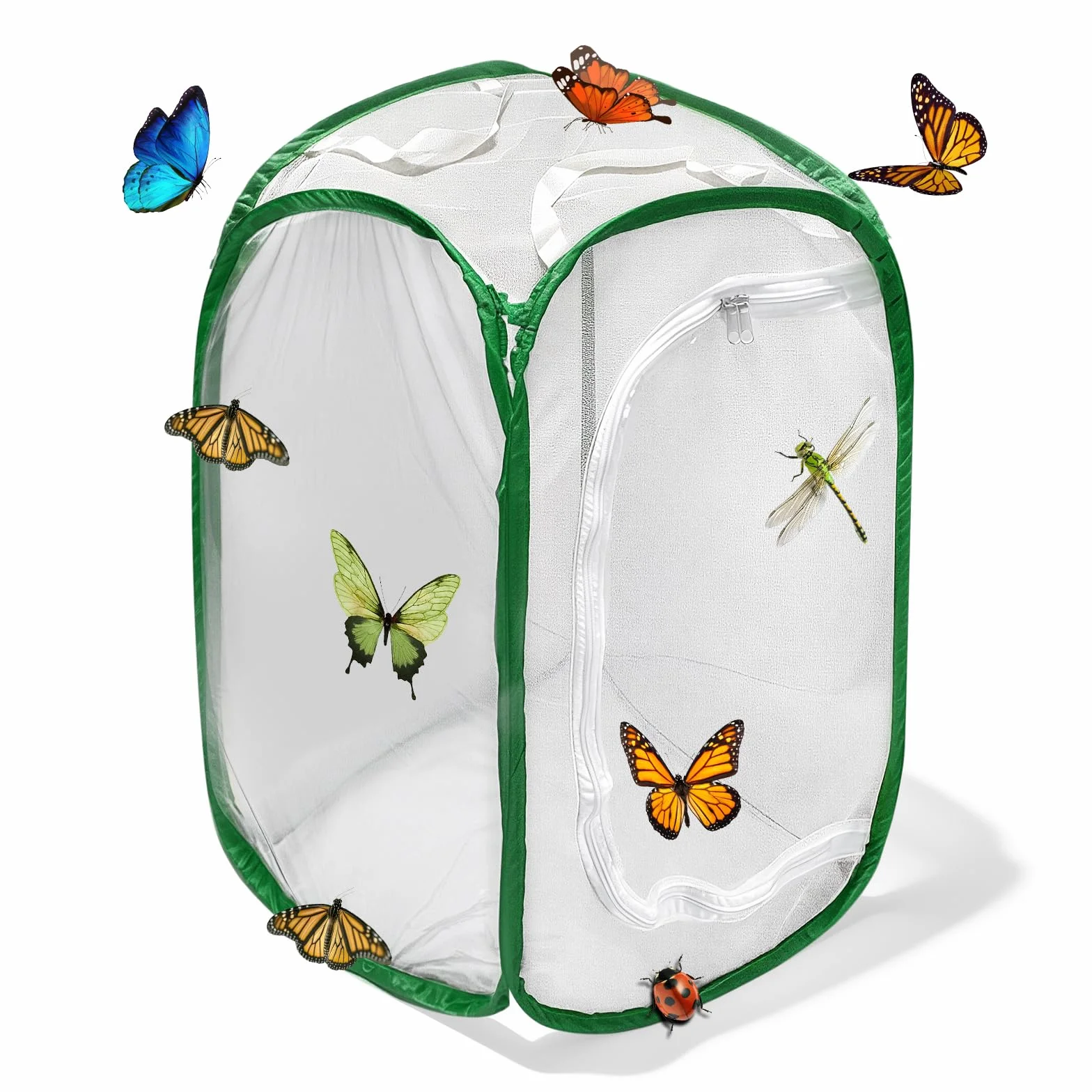 Cage d'habitat pour Insectes et Papillons 40x40x60cm Pliable Maille Protection Plantes Vert