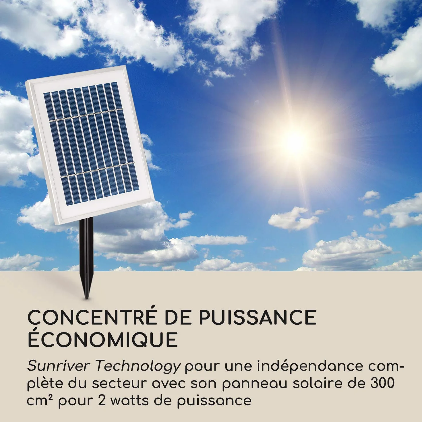 Blumfeldt Liquitorre XL Fontaine Solaire de Jardin Pompe 200 l/h IPX8 Panneau Solaire 2W 300 cm² Batterie 3,7 V 2 Ah Polyrésine