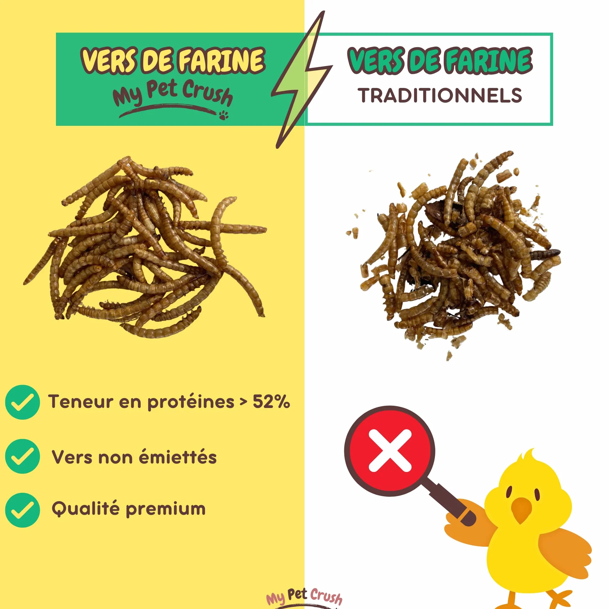 Vers de Farine Séchés 3,5L pour Poules Oiseaux Tortues Reptiles Carpes 100% Naturel Riche en Protéines